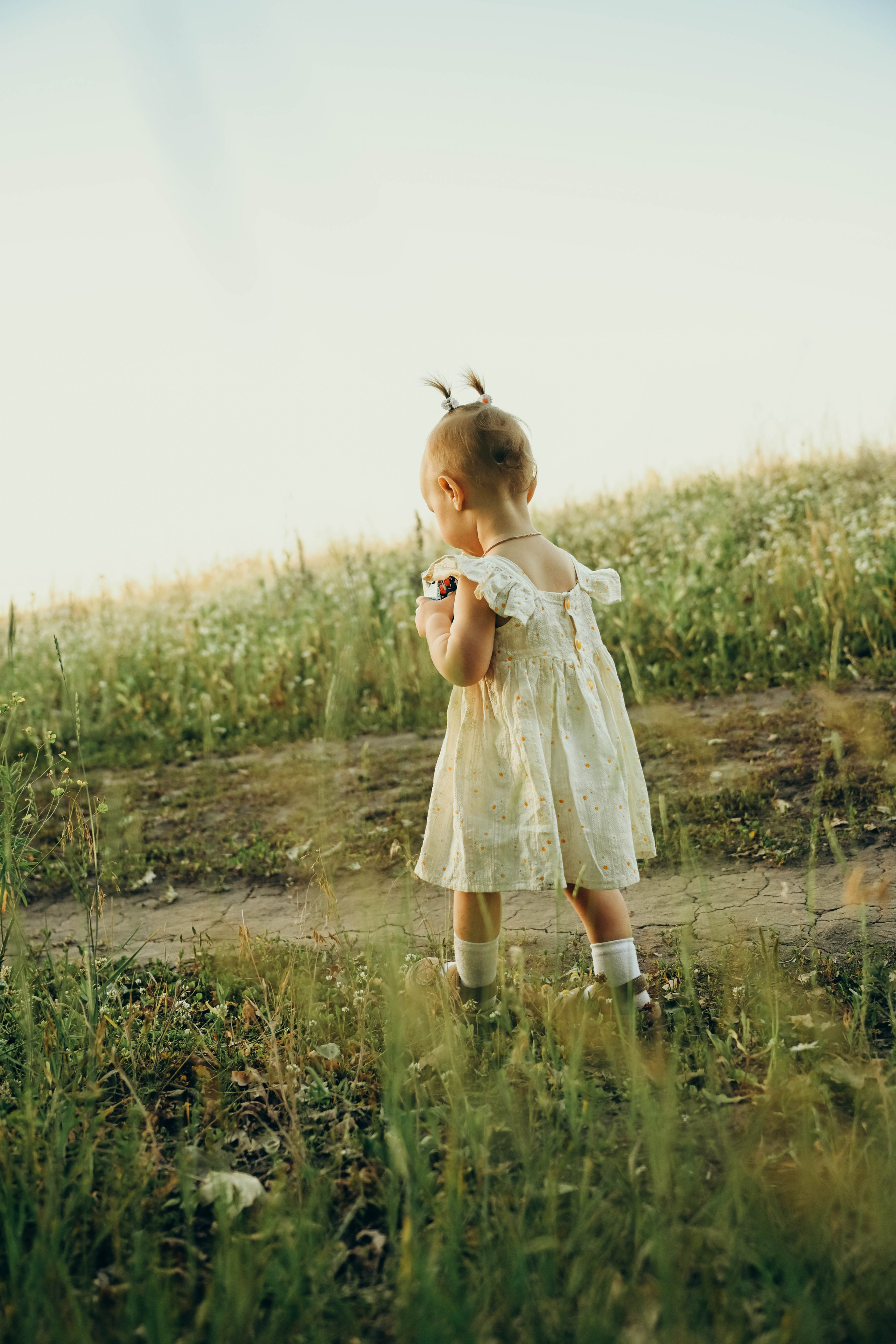 Ромашковое поле. Семейный фотограф в Москве Люберцах Ирина Вронская