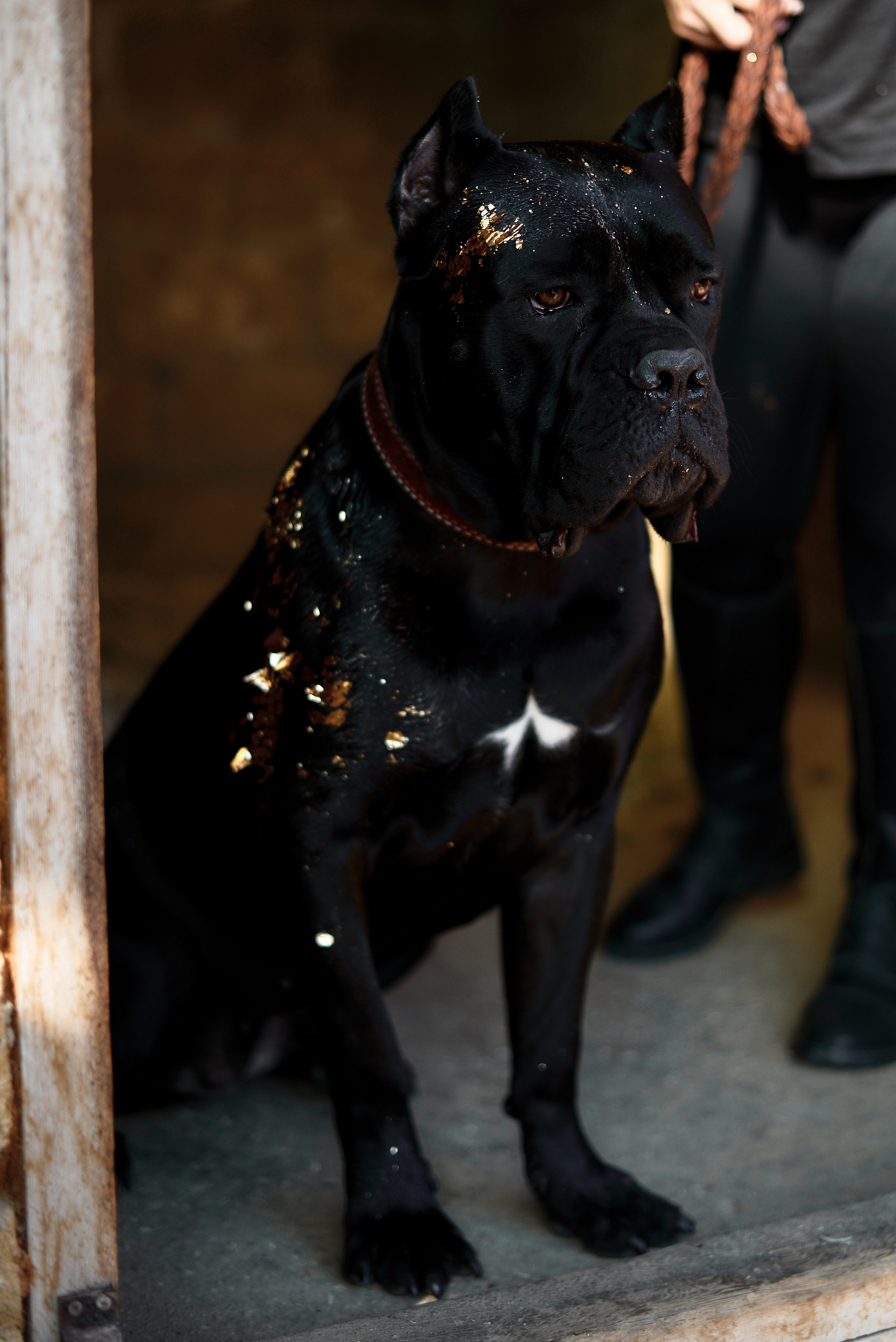 Ирина. Фотограф в Севастополе