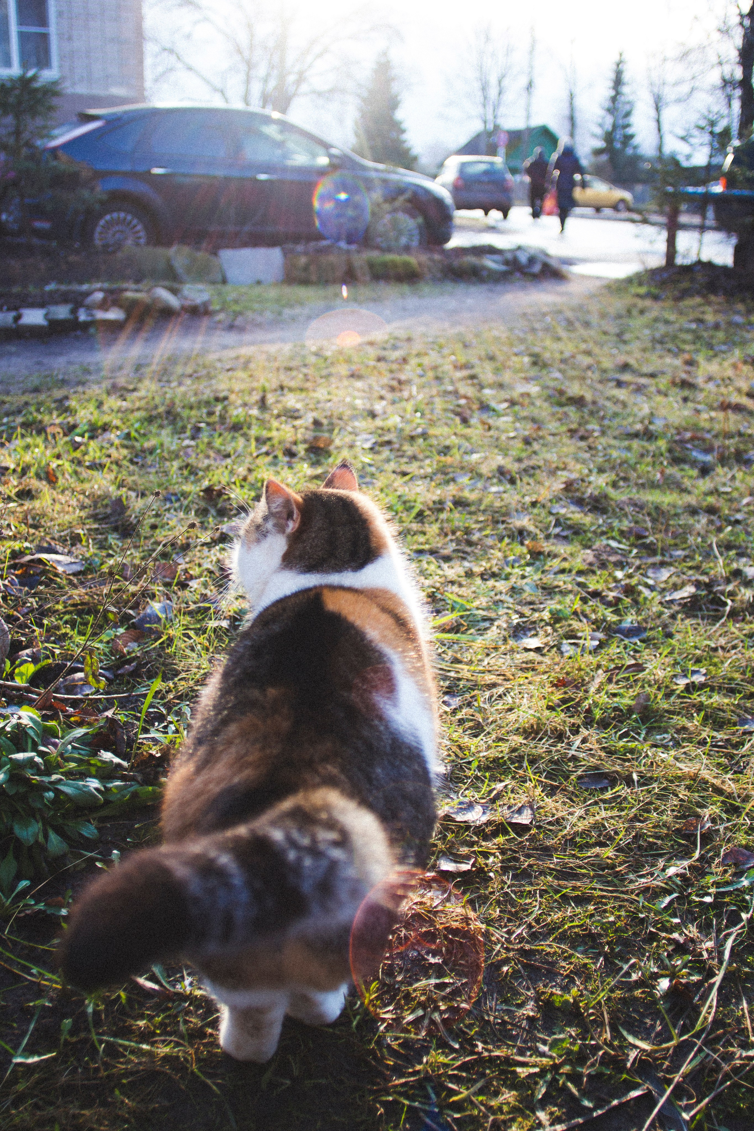 Великий Новгород. Фотограф Адигамова Юлия в Петербурге