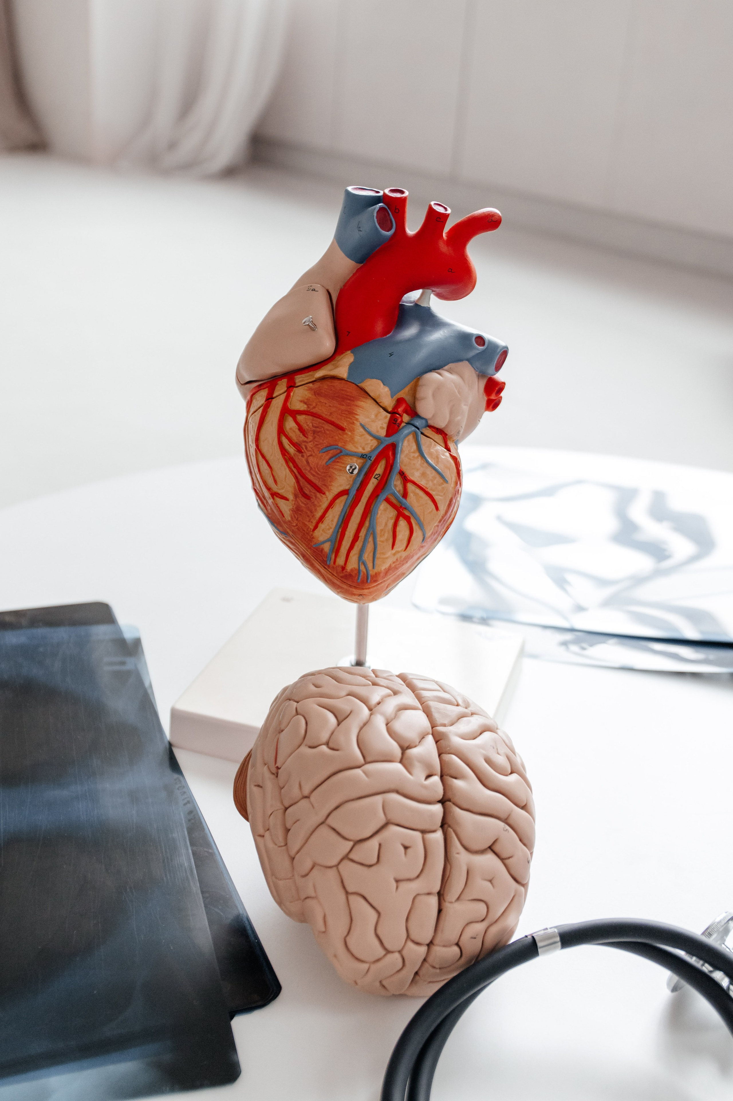 Педиатры. Фотограф Елена Балакина (Челябинск)