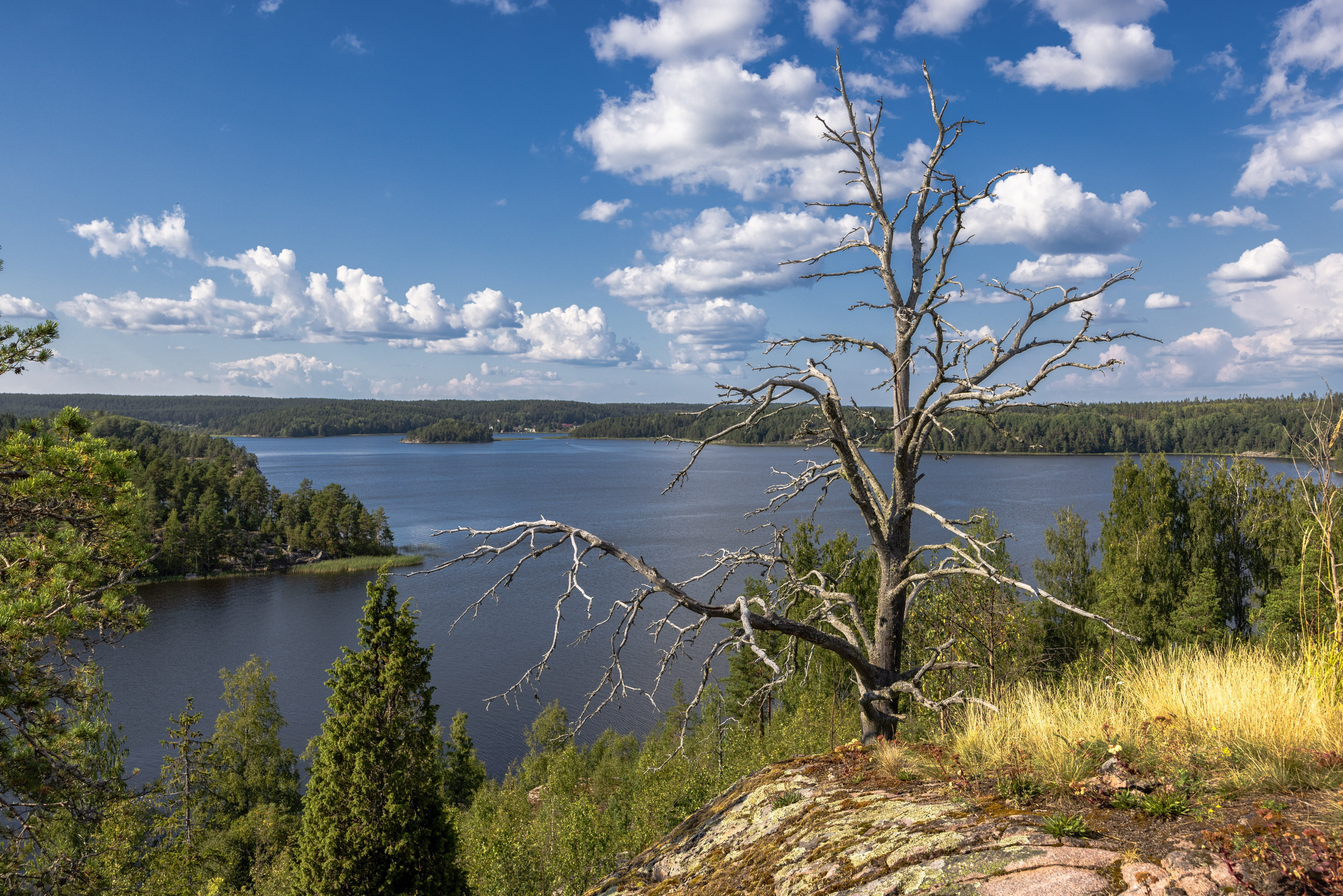 Ладога. Автомобильная фотография в Санкт-Петербурге