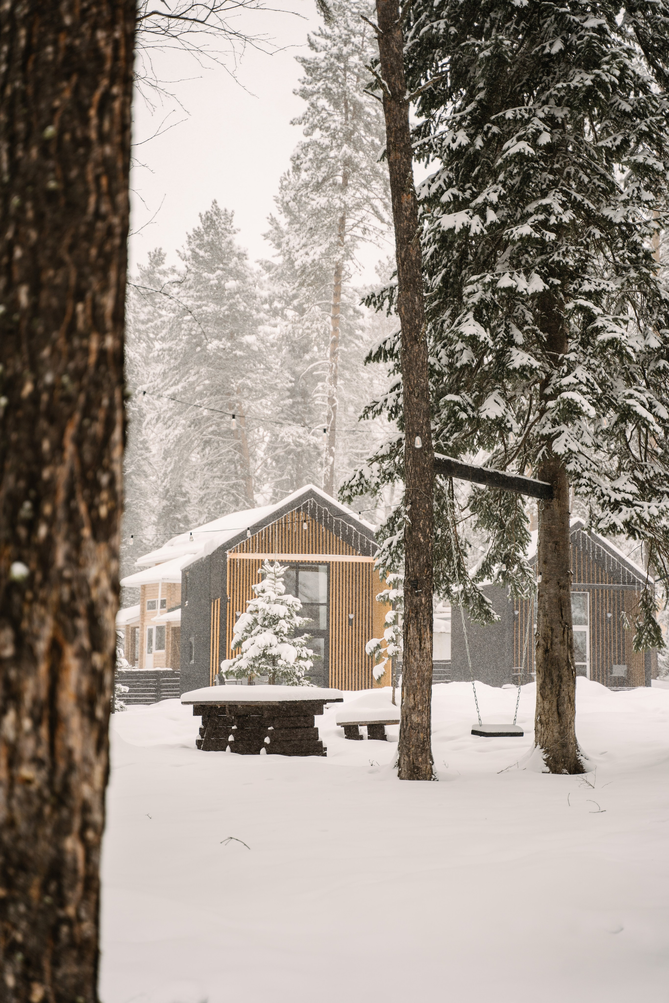 Релекс ТЕЛЕЦКОЕ. Фотограф Ольга Пучкова