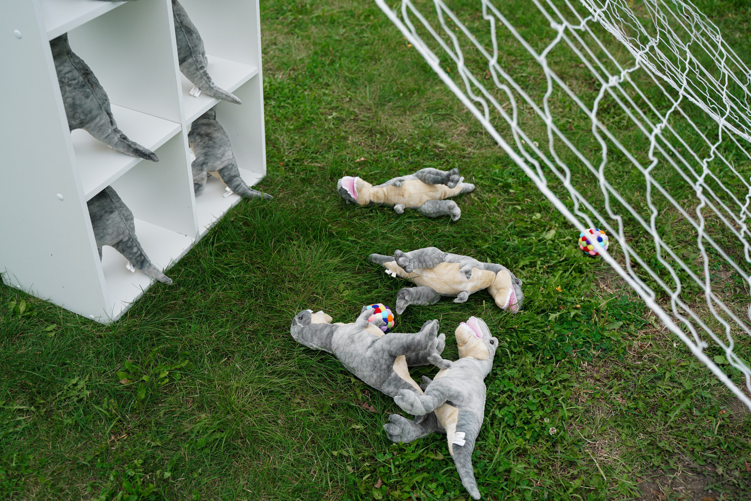 ИТ-пикнит от Т-банка. Свадебный фотограф Москва, Санкт-Петербург