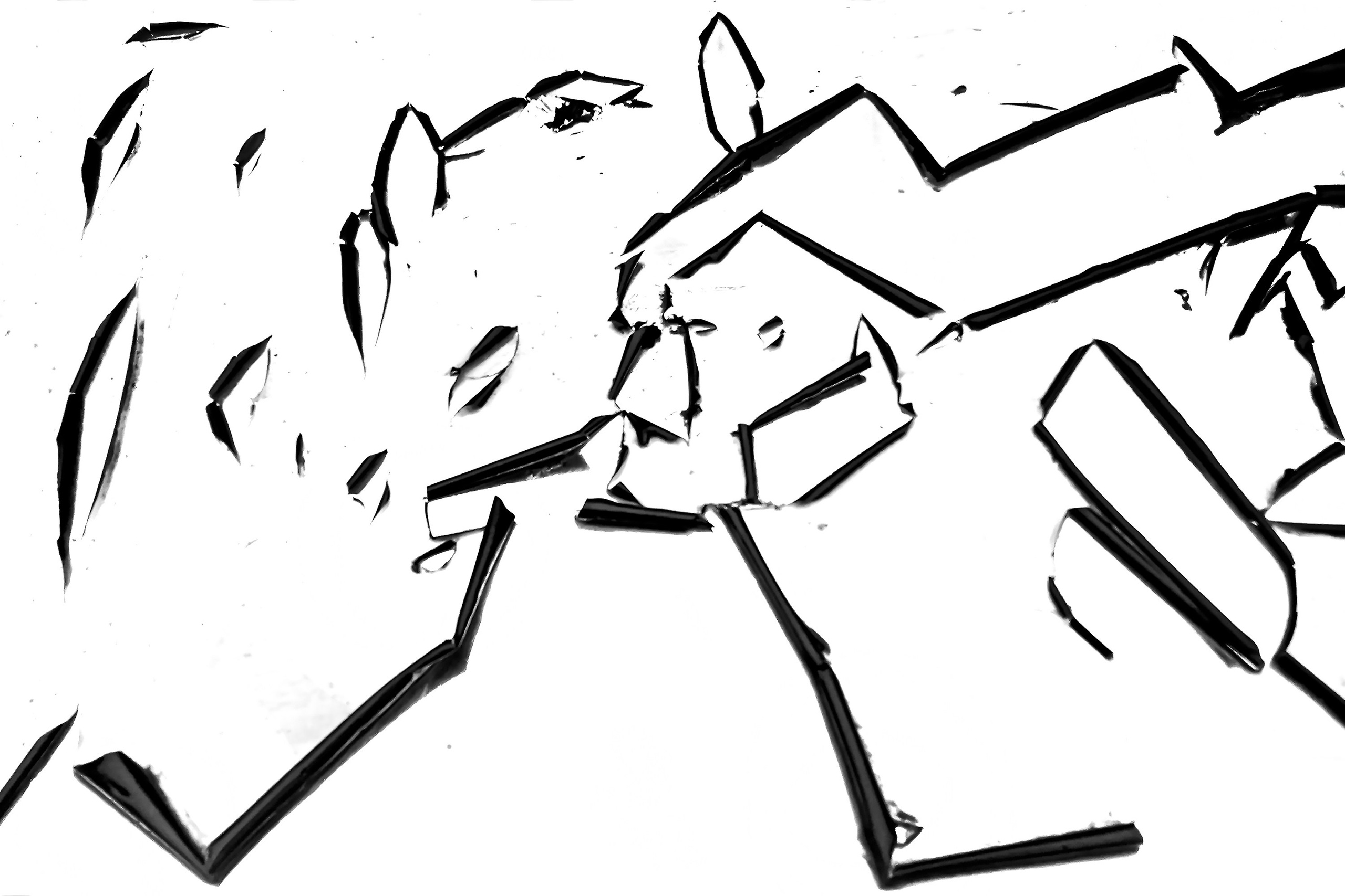 Фотография. Современное искусство.