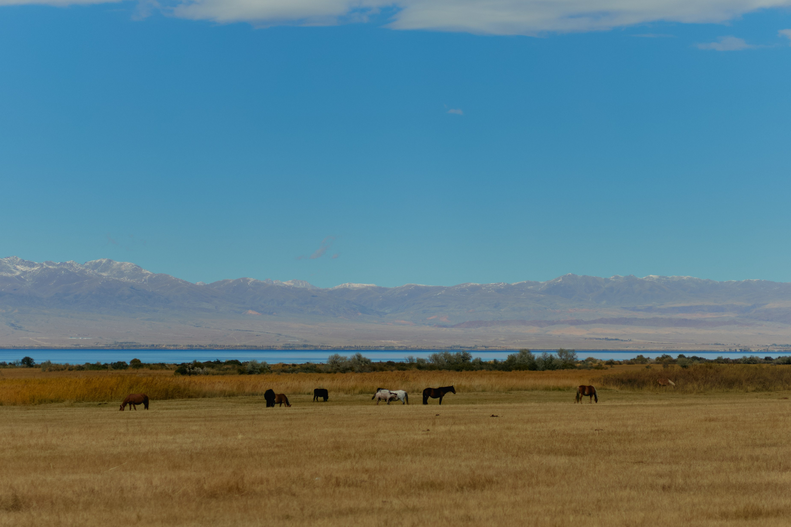 Кыргызтан. Профессиональный Фотограф во Владимире, в Москве и в Суздале — Полина Романычева