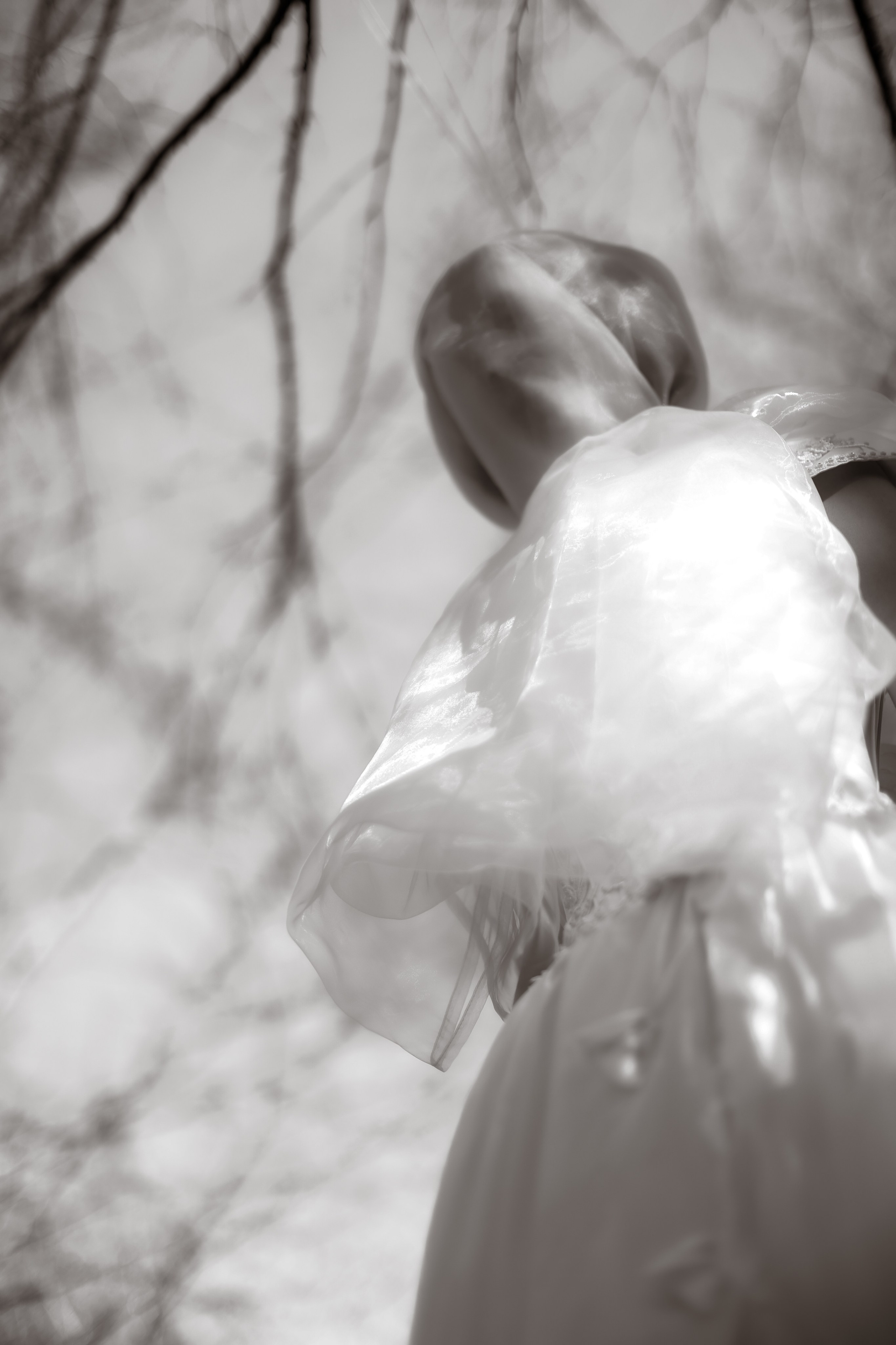 В ожидании Halloween. Art my Pho