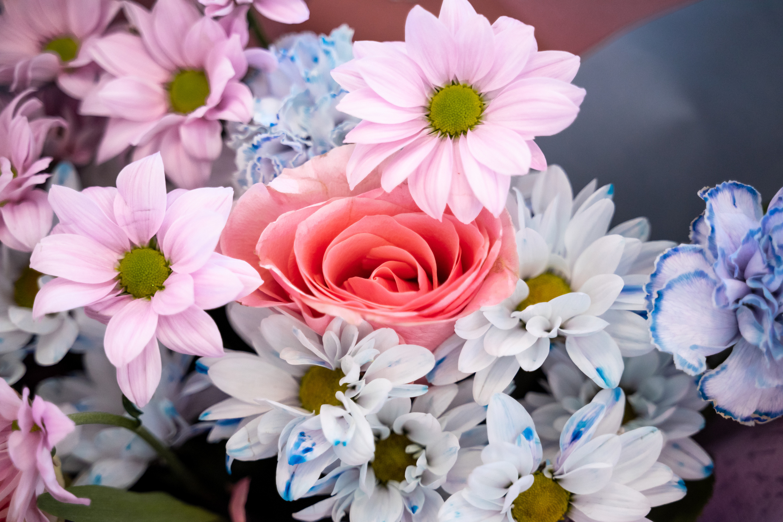 Елена+Евгениий