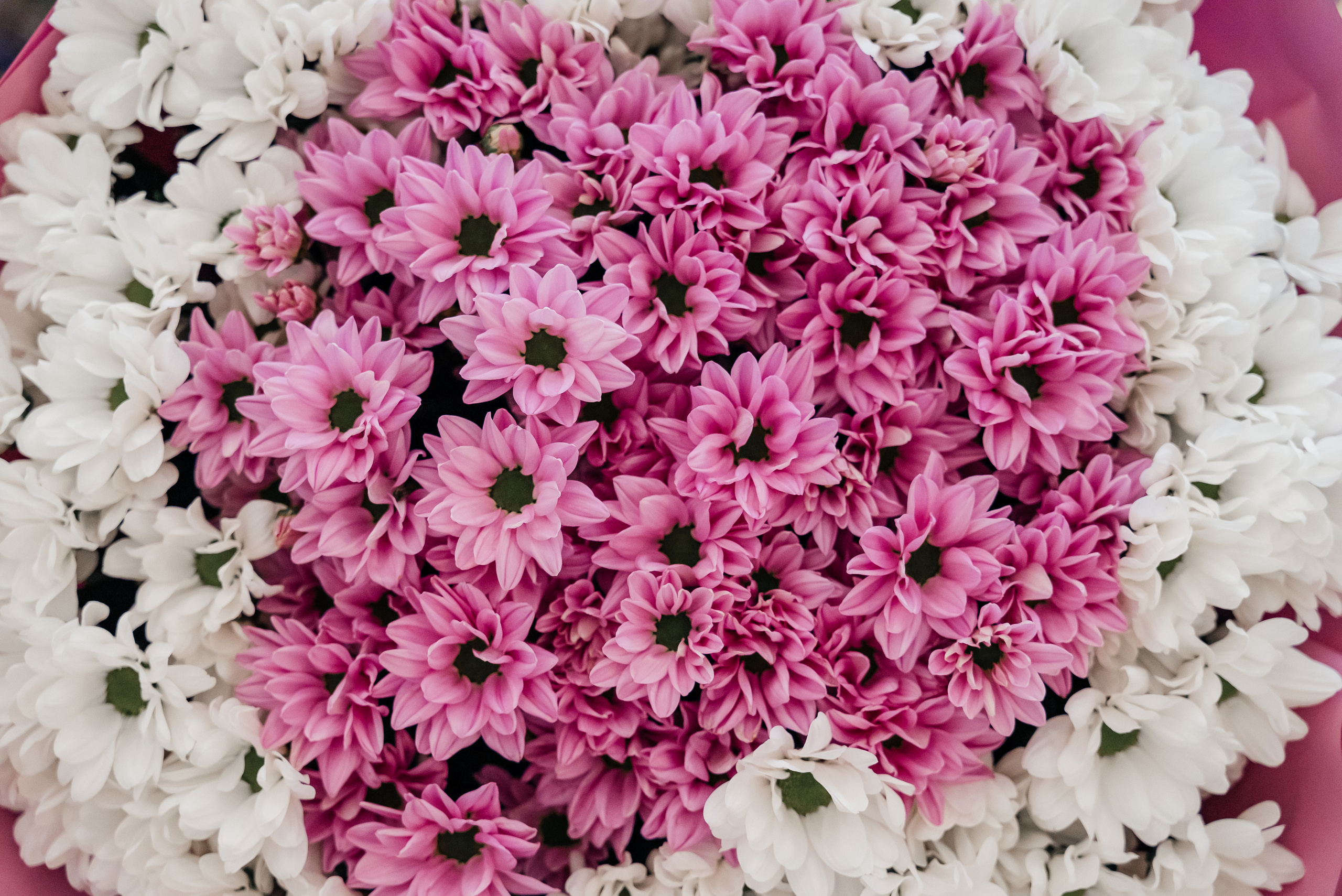 Оксана+Юрий