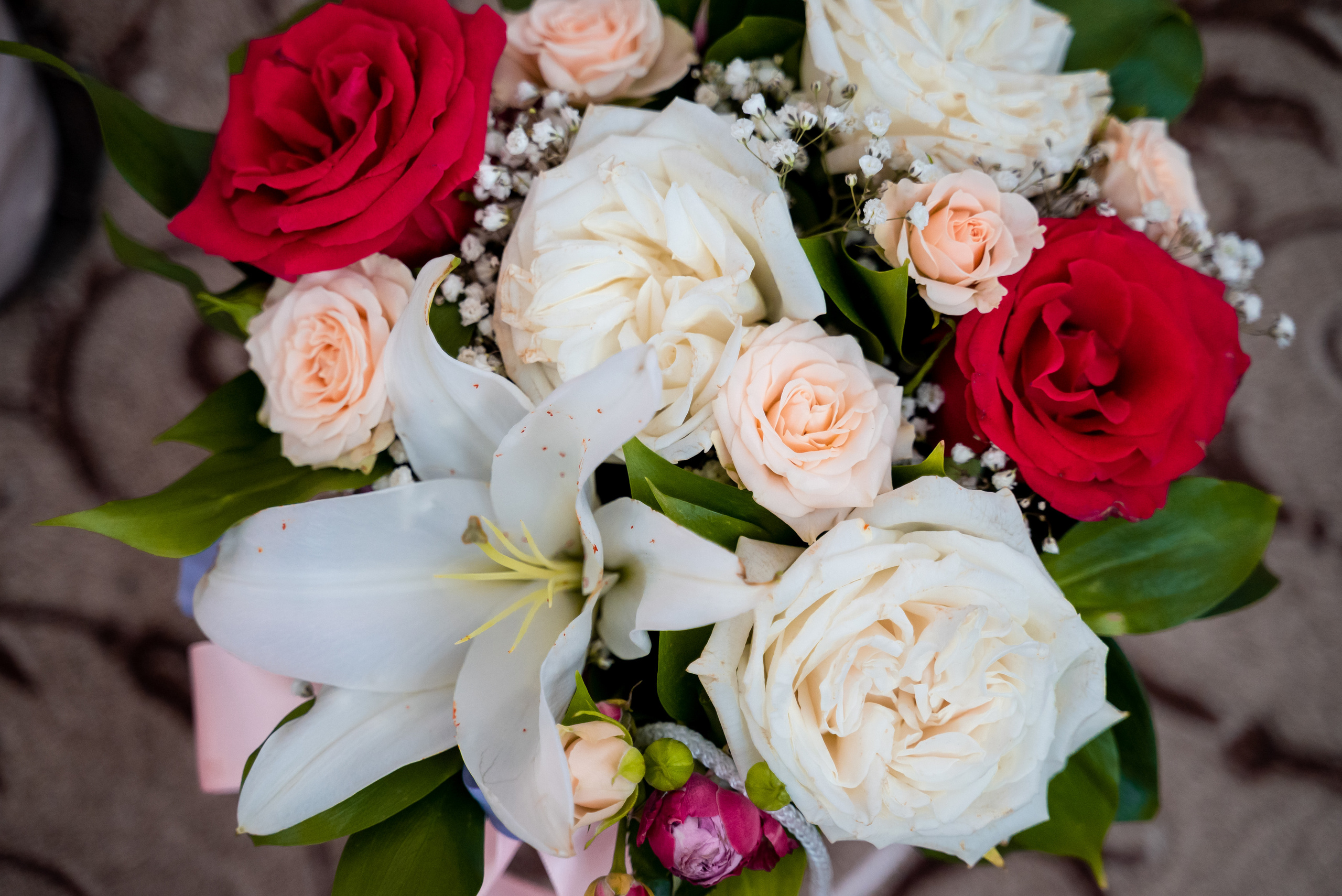 Елена+Евгениий