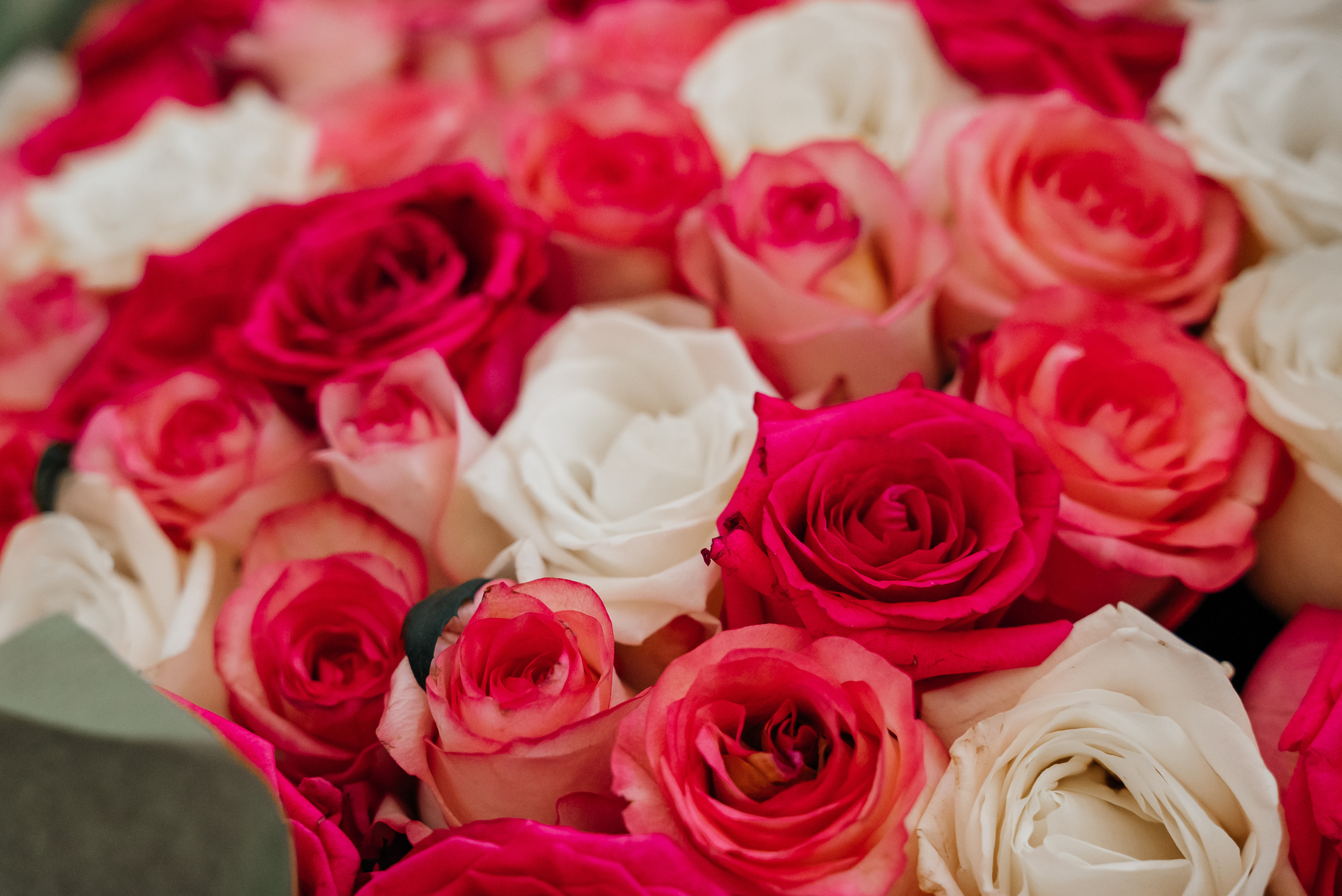 Оксана+Юрий