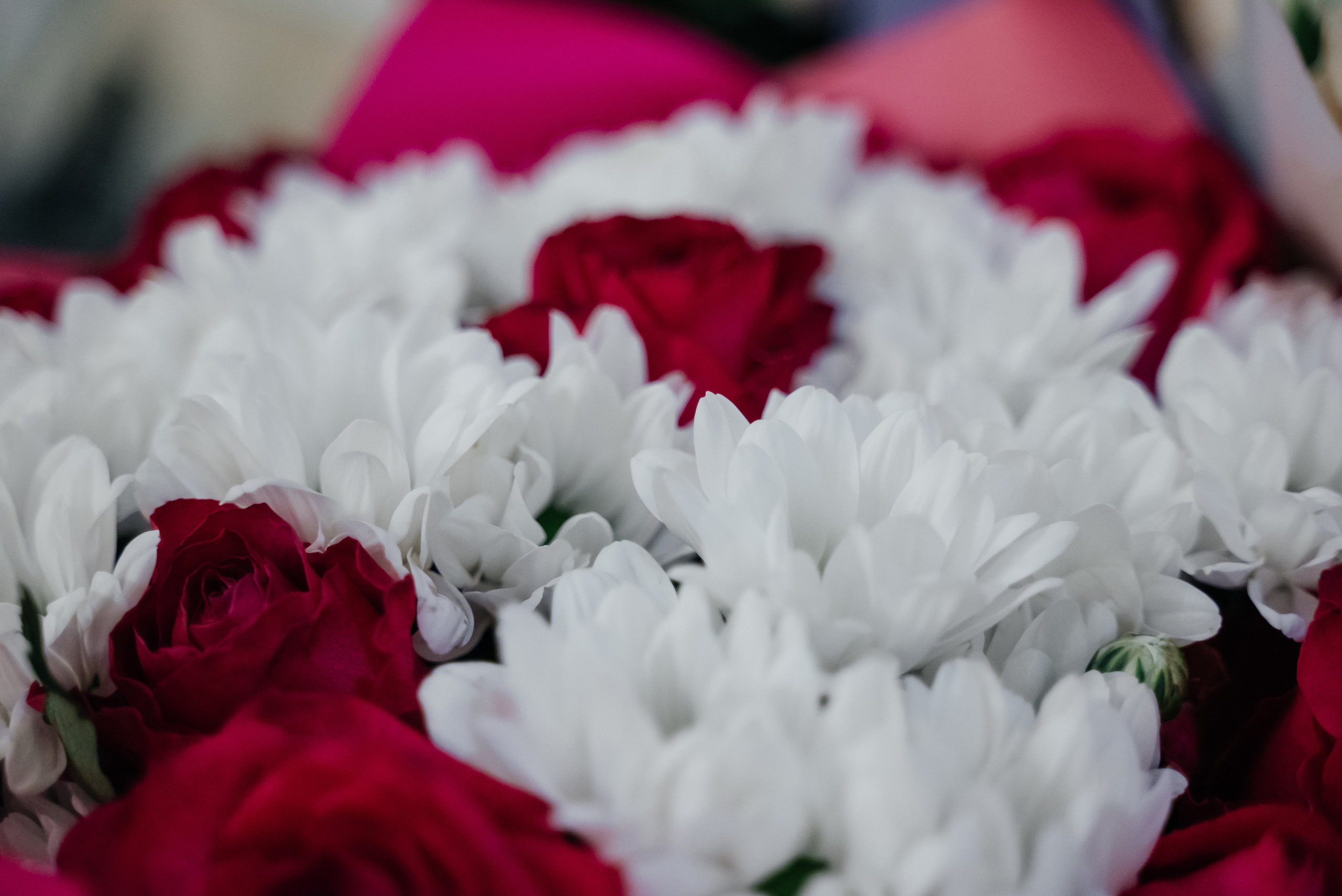 День рождения + гендер пати))