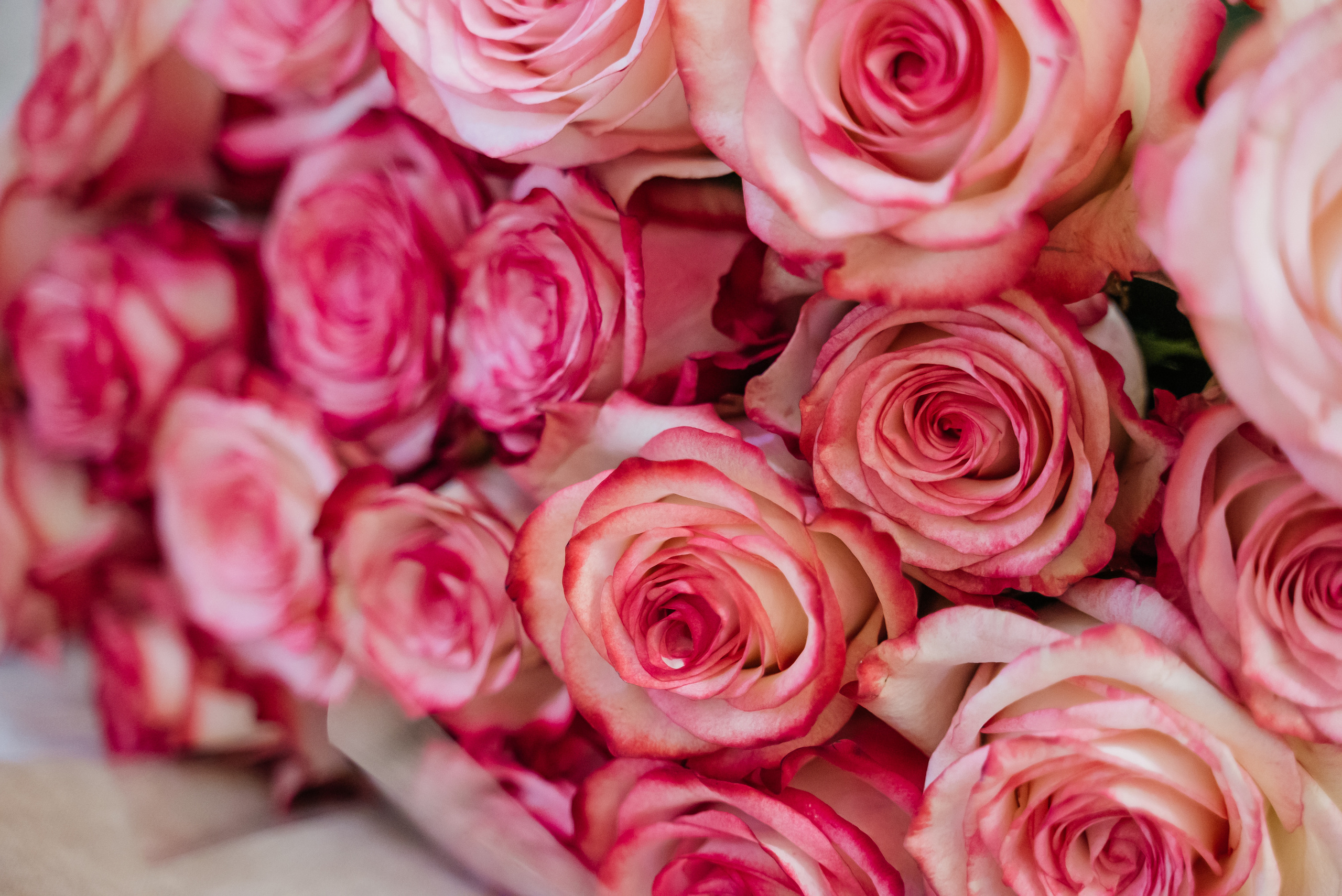 День рождения + гендер пати))