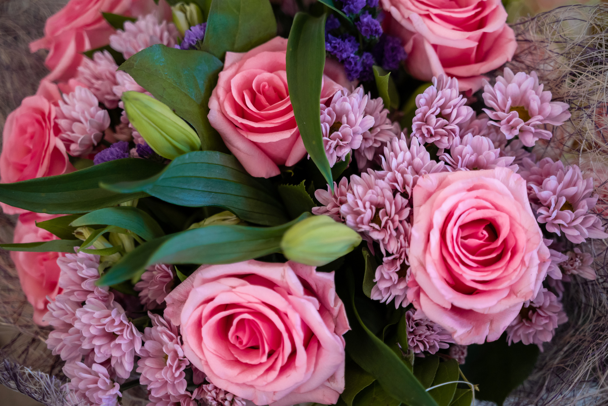 Елена+Евгениий