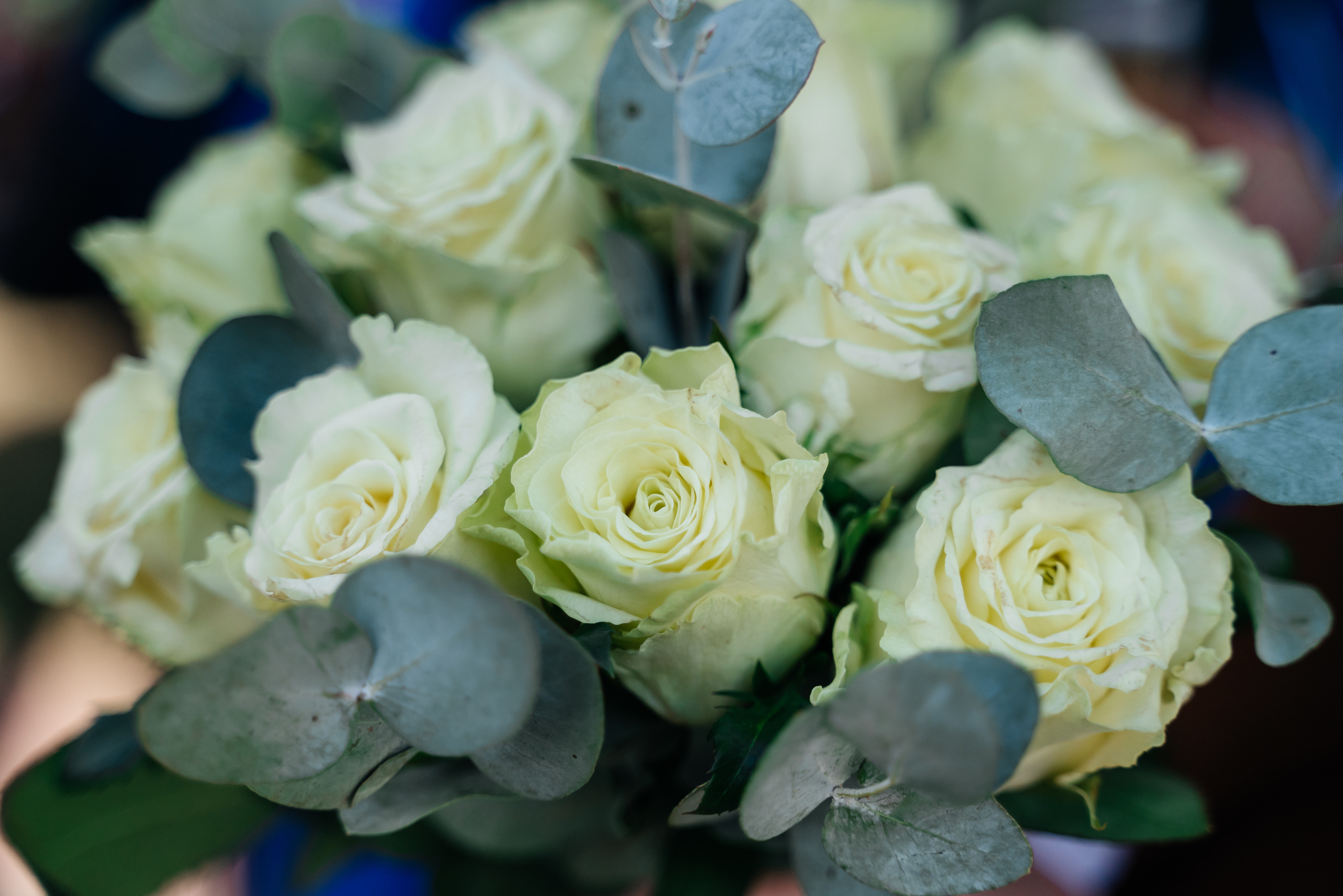 Мария+Дмитрий