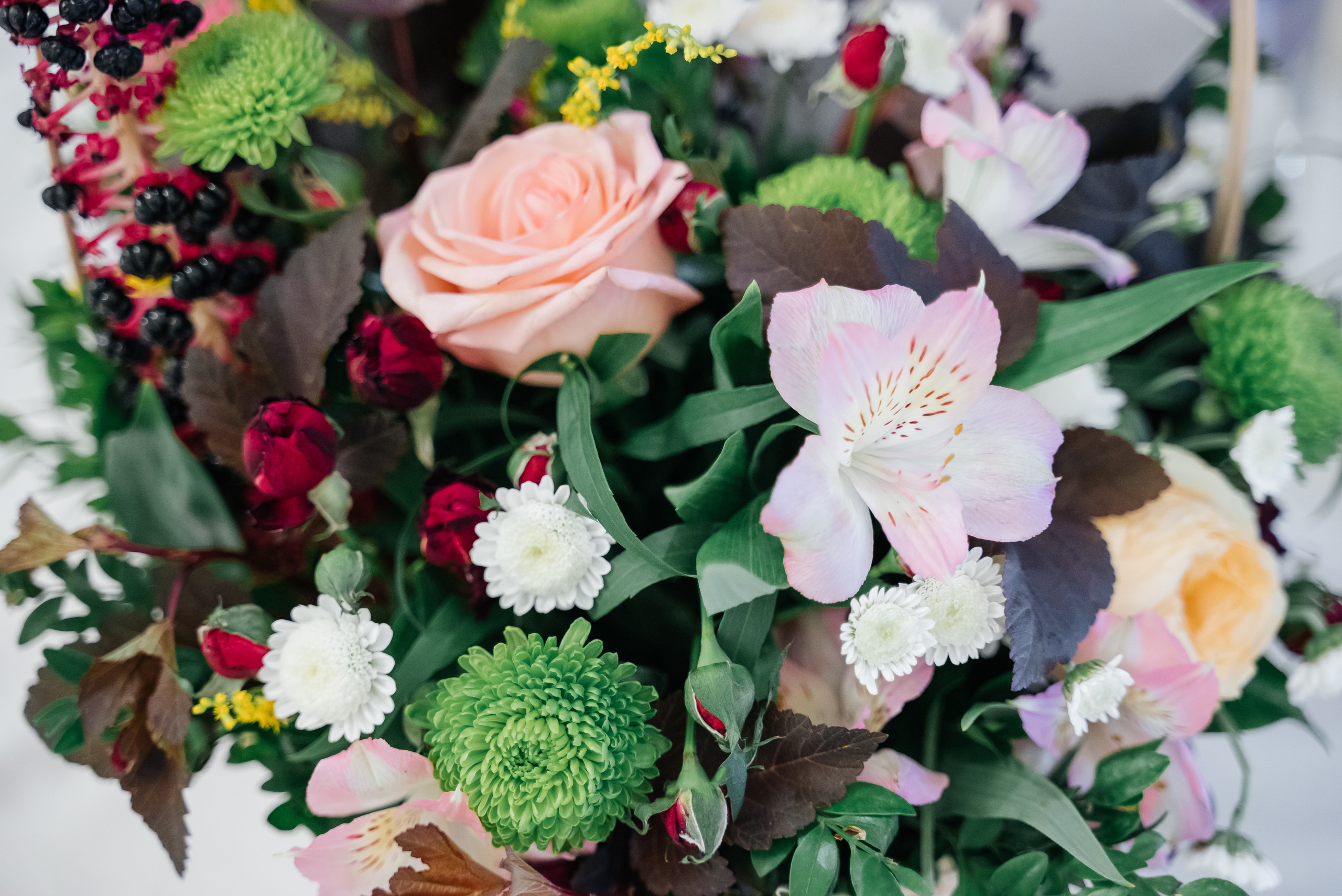 День рождения + гендер пати))