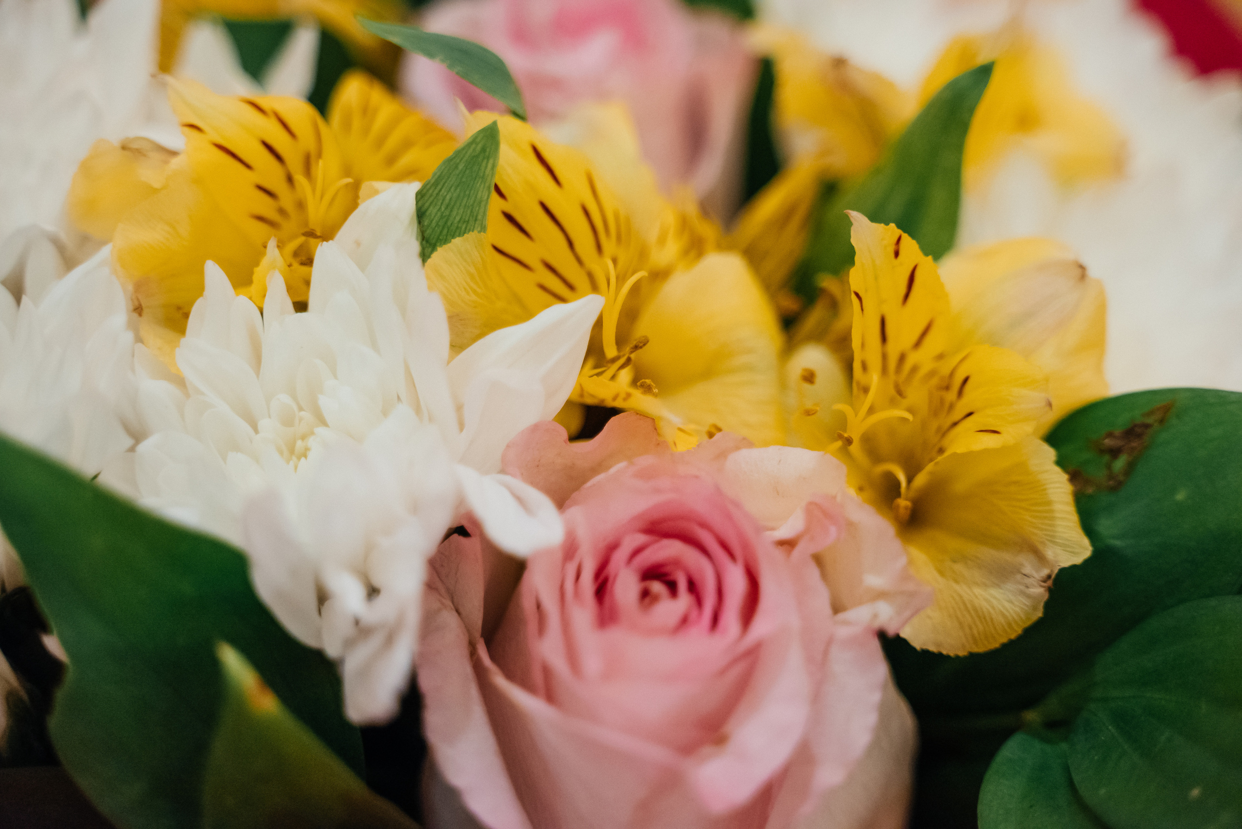 День рождения + гендер пати))