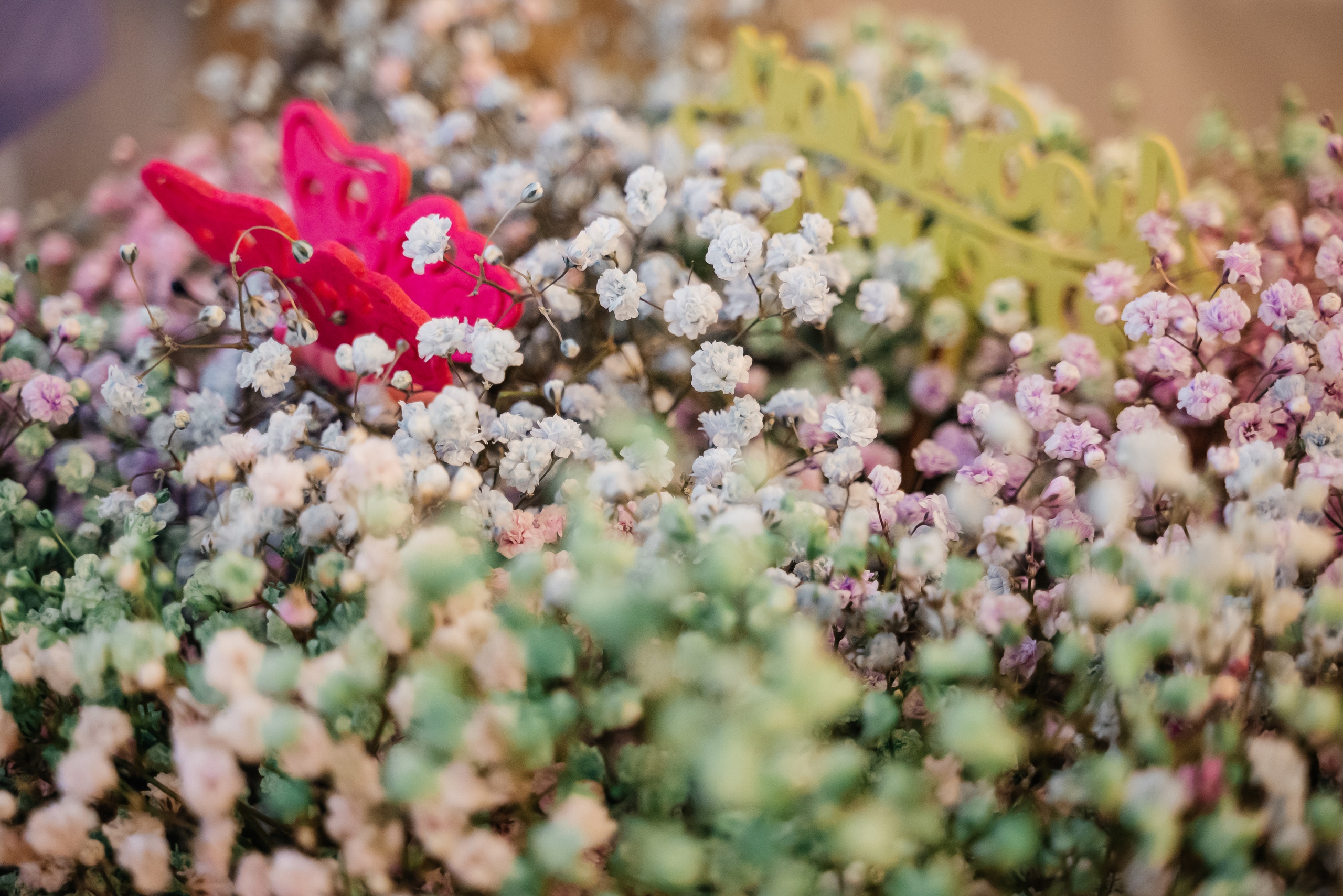 День рождения + гендер пати))