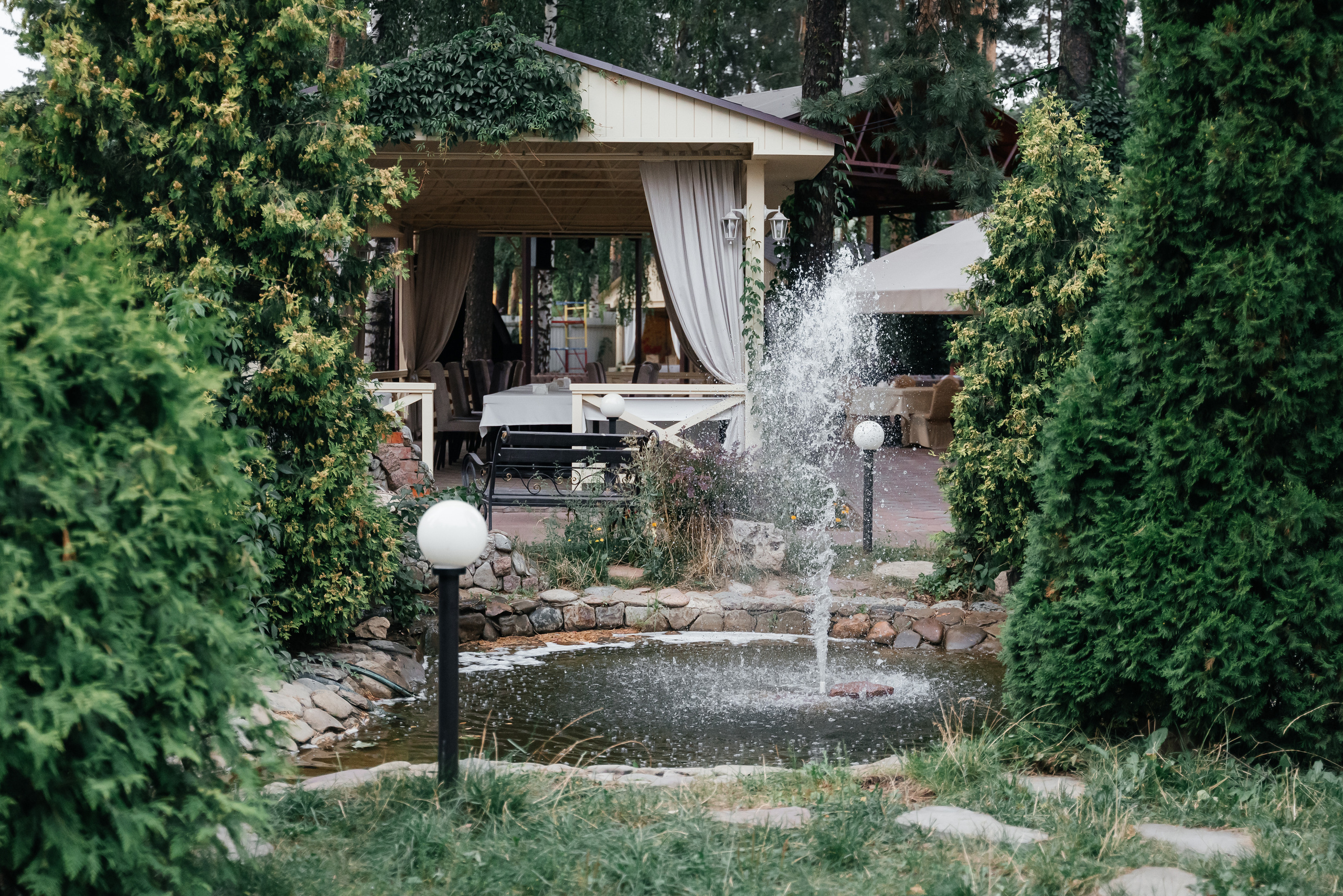 День рождения + гендер пати))