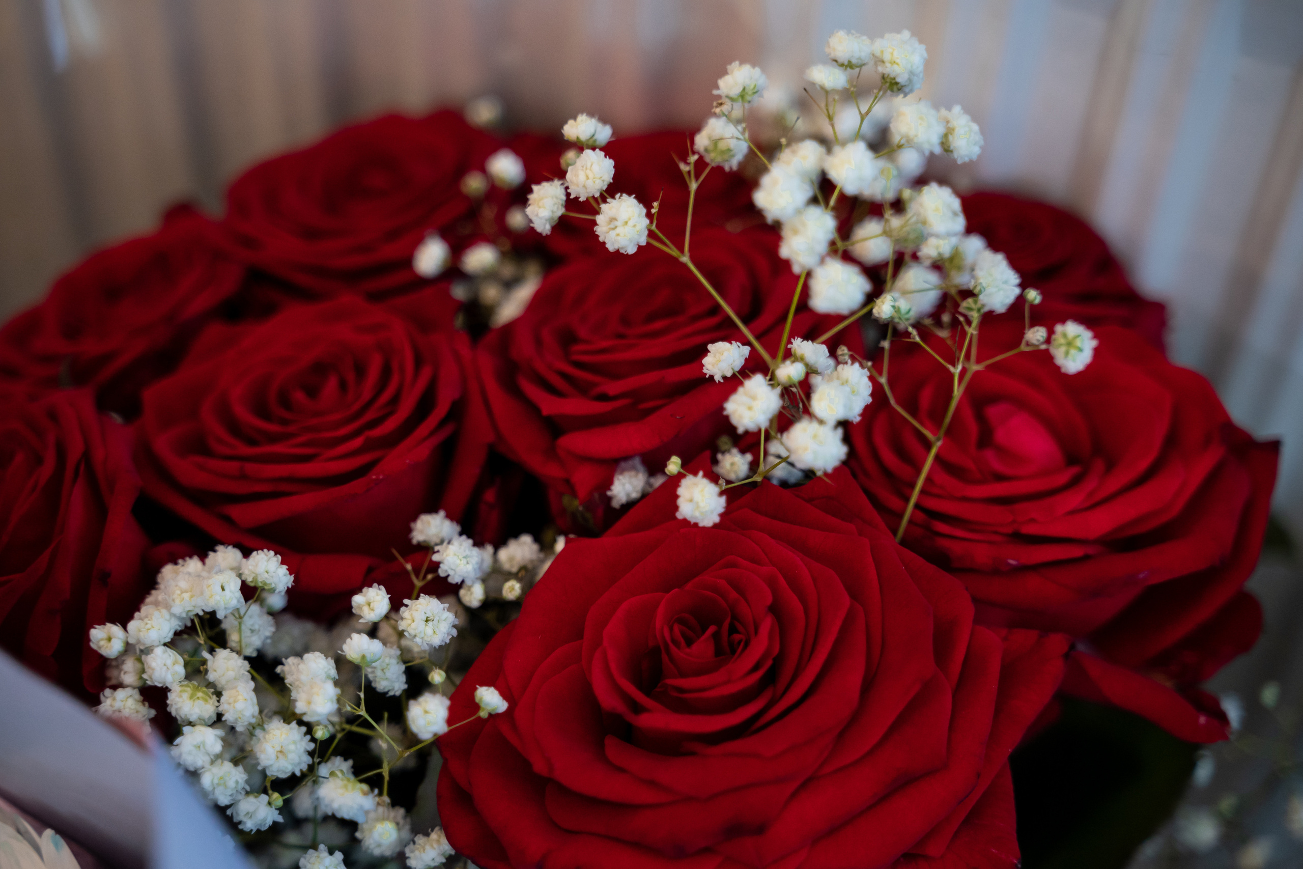 Елена+Евгениий