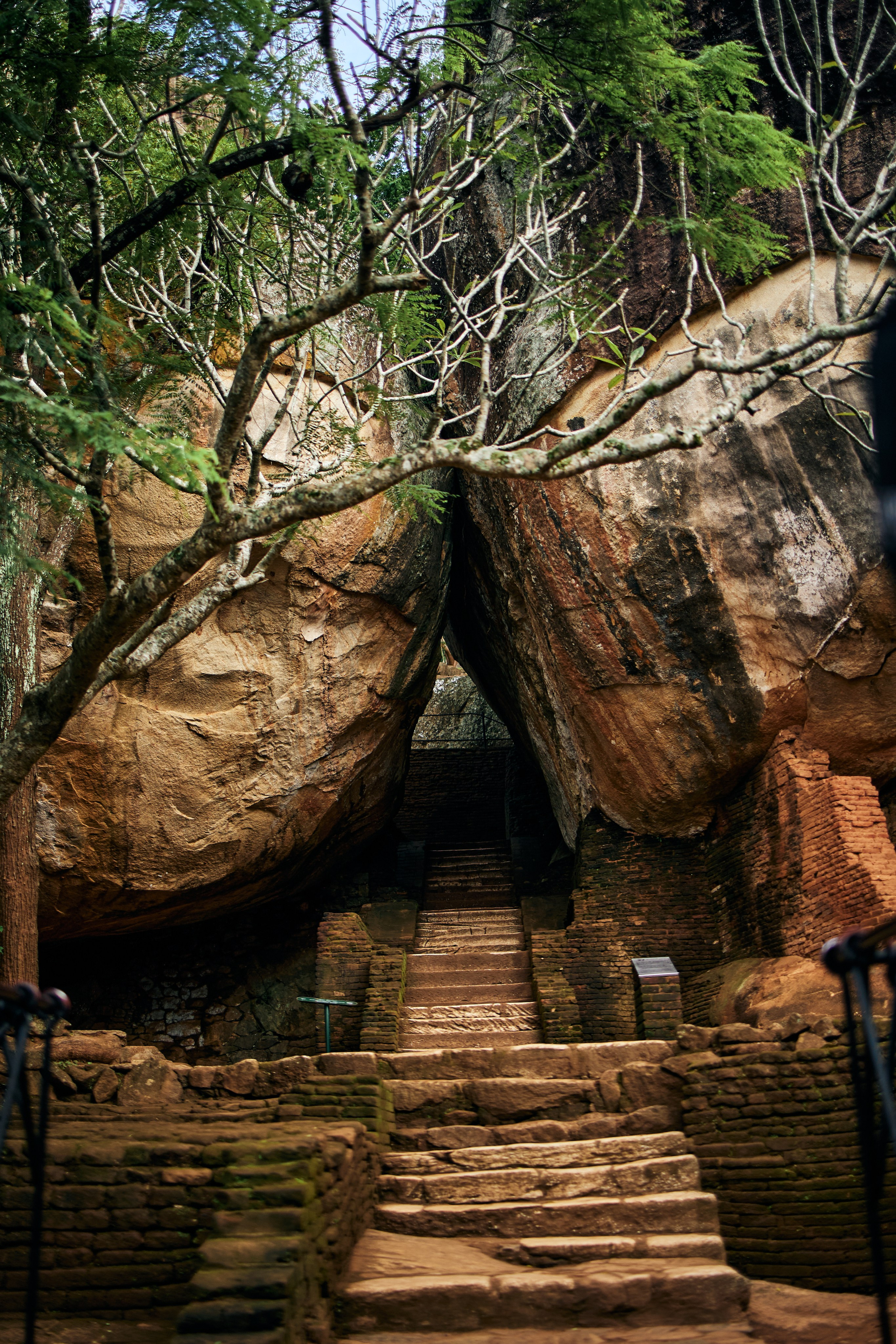 Шри-Ланка. Хороший репортажный и промышленный фотограф в Казани Алексей Щелконогов