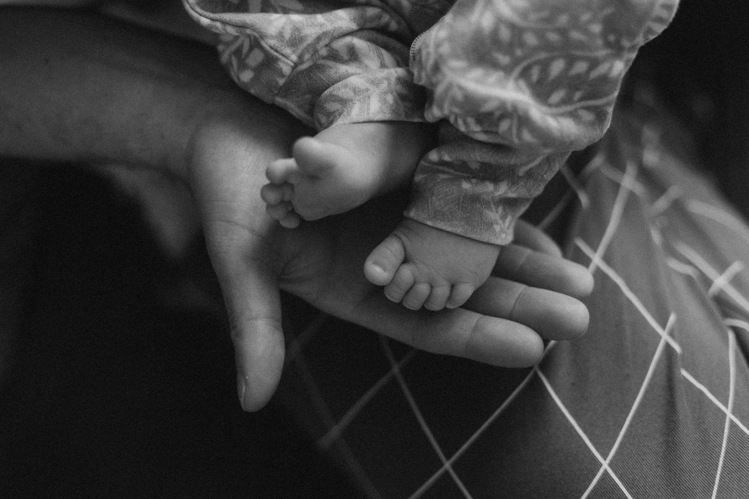 Появление брата. Фотограф из Петербурга