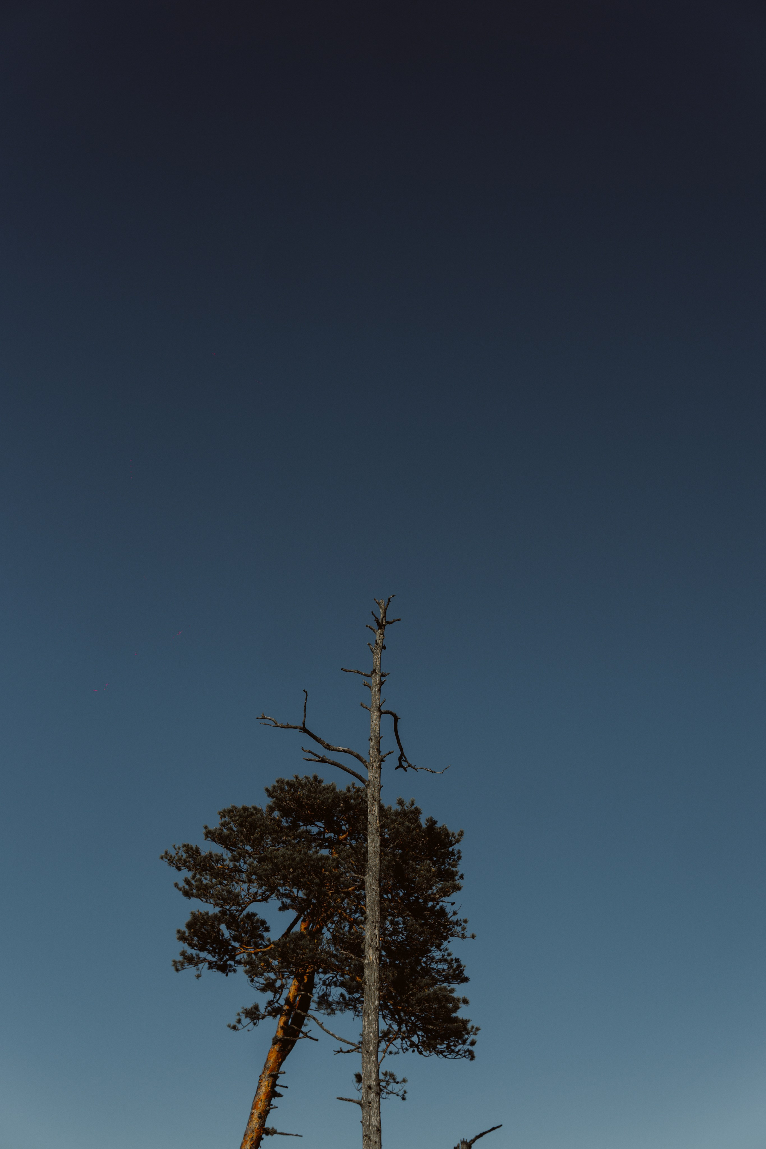 EXHIBITION. Репортажный и интерьерный фотограф, фотохудожник