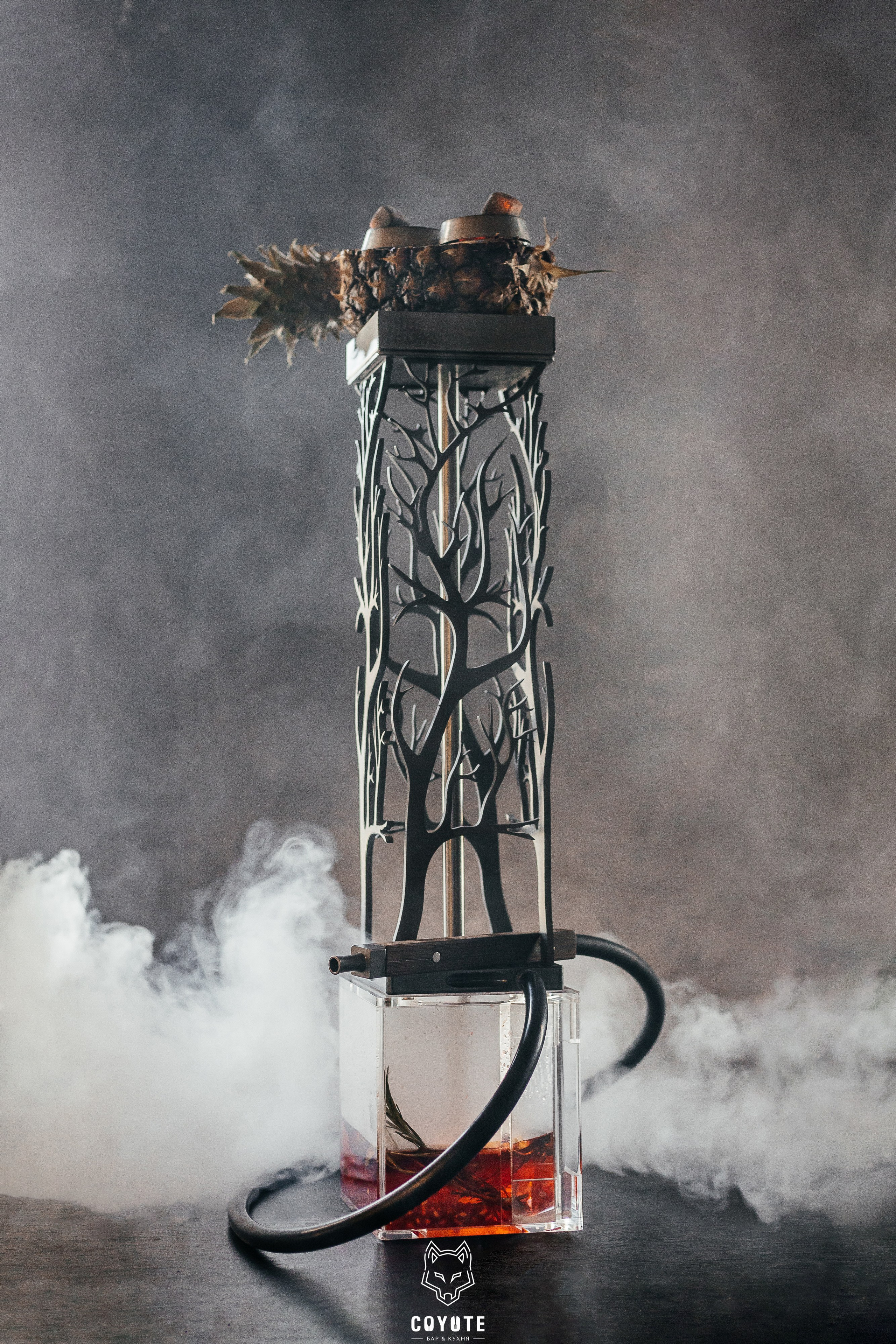 Бар Койот. Ваш самый лучший фотограф!