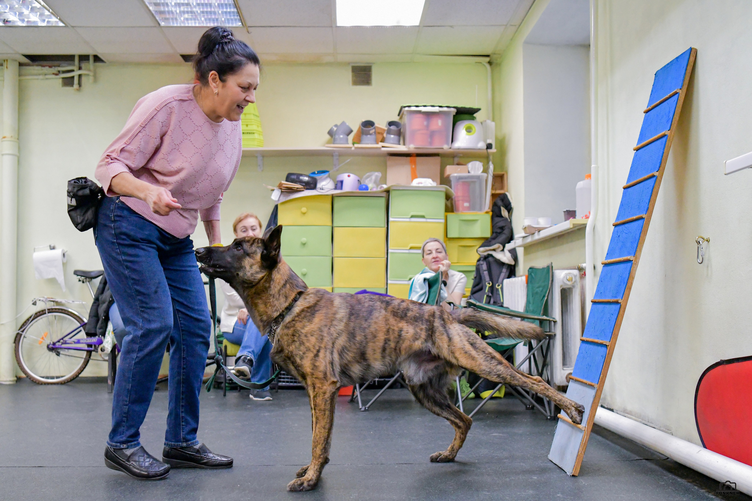 Кинологический клуб «Бодрый хвост». Свой взгляд через объектив