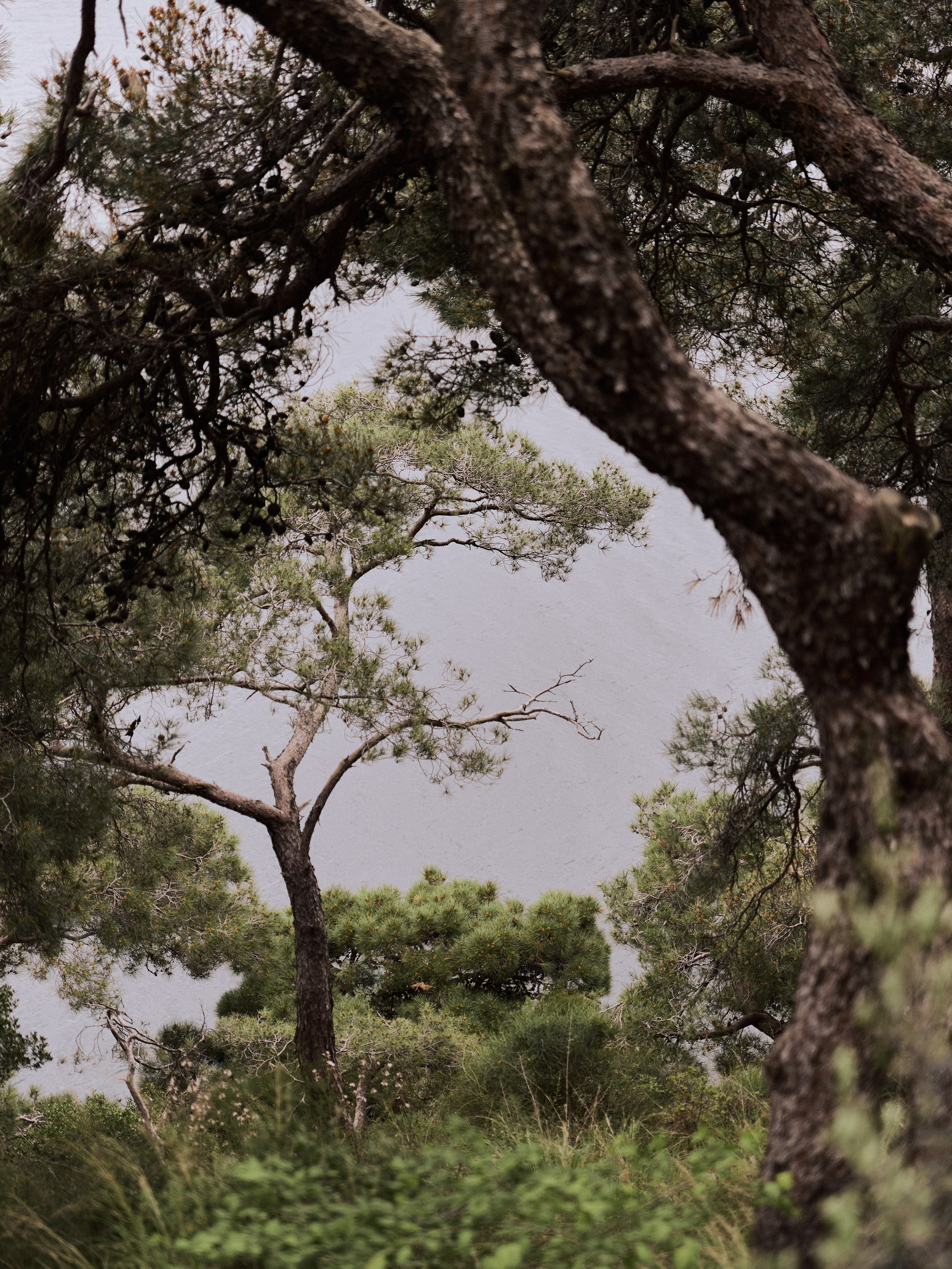 Природа. Jorgis Talè — photographer, kind person, teacher of arts and other mag