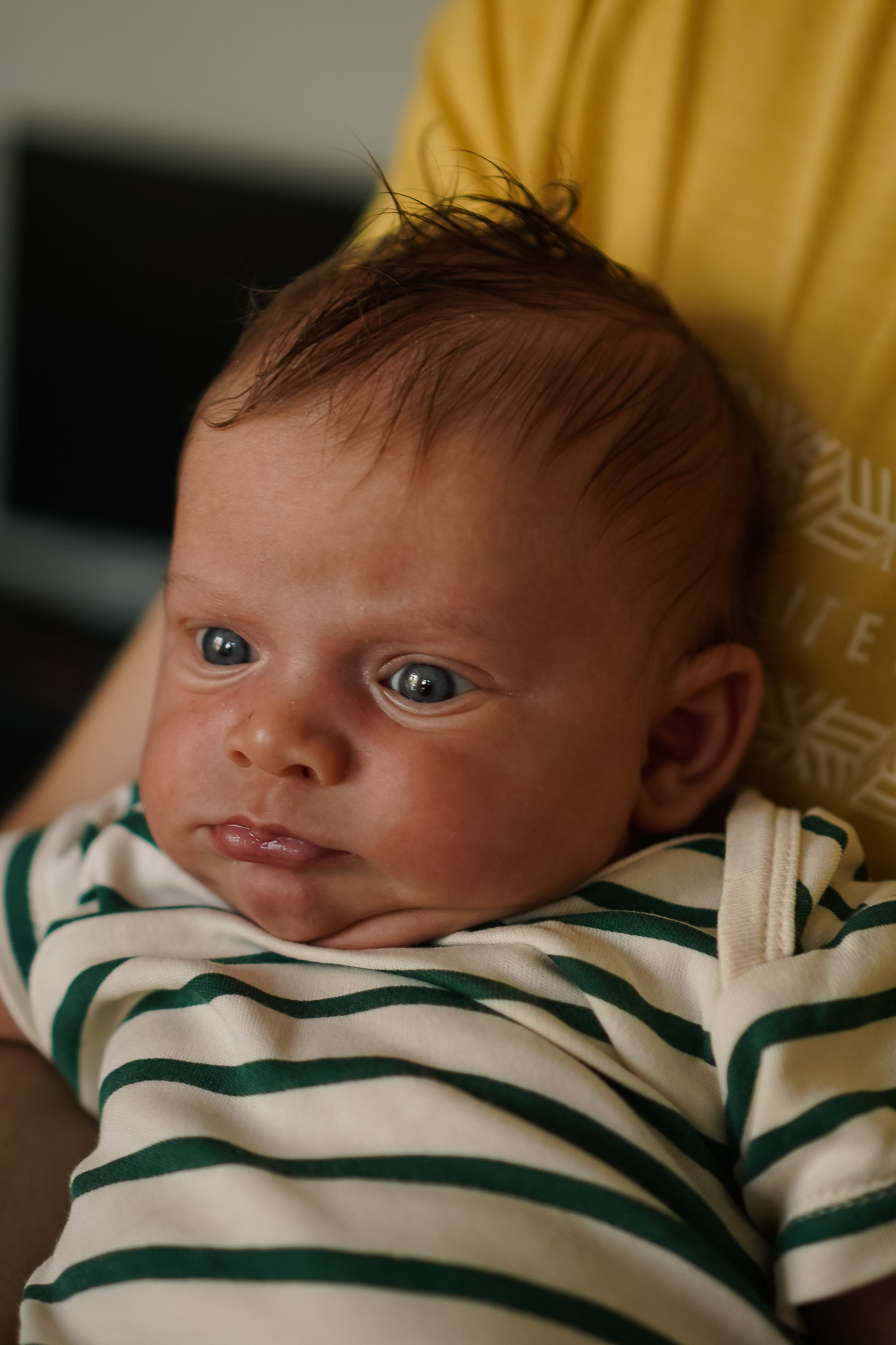 Федя, новенький на планете. Семейный фотограф в Москве Коровушкина Наталья. Съемка контента