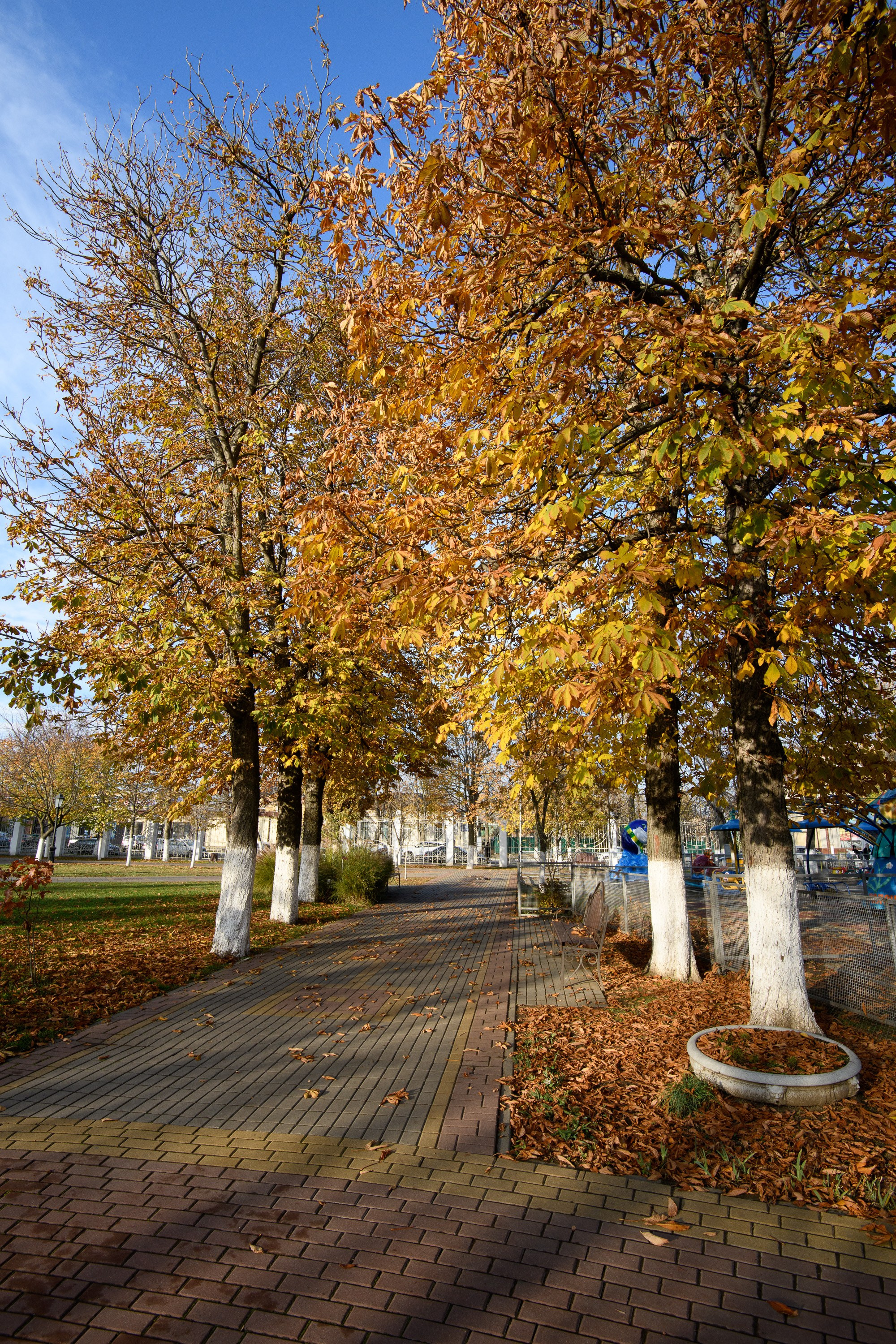 Кропоткин. Профессиональная фотосъемка. Ростов-на-Дону