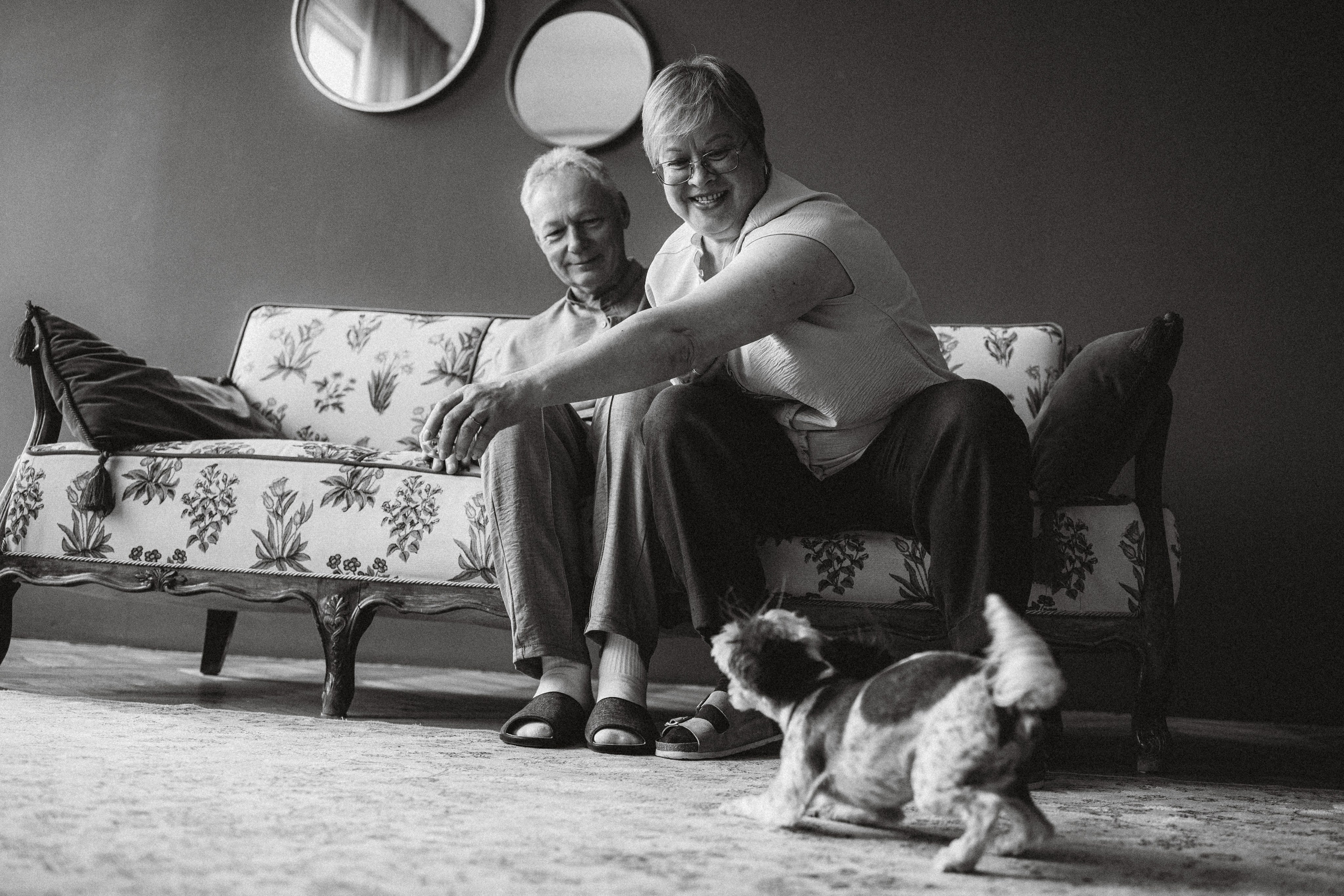 Джо, Мэйли и их семья. Семейный фотограф животных, анималист в Москве Екатерина Киреева