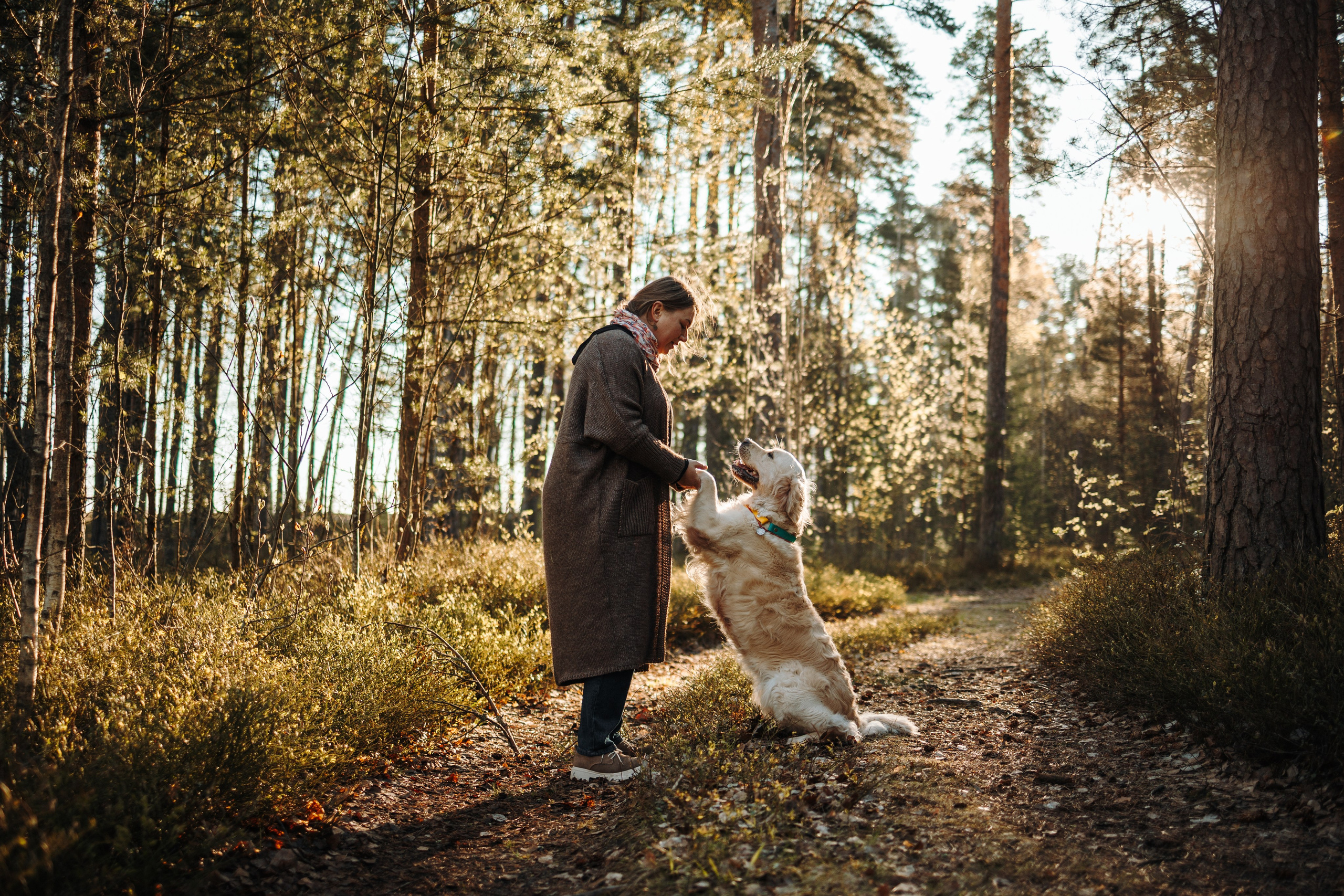 Катя и ее девочки. Фотограф — Анималист | Санкт-Петербург