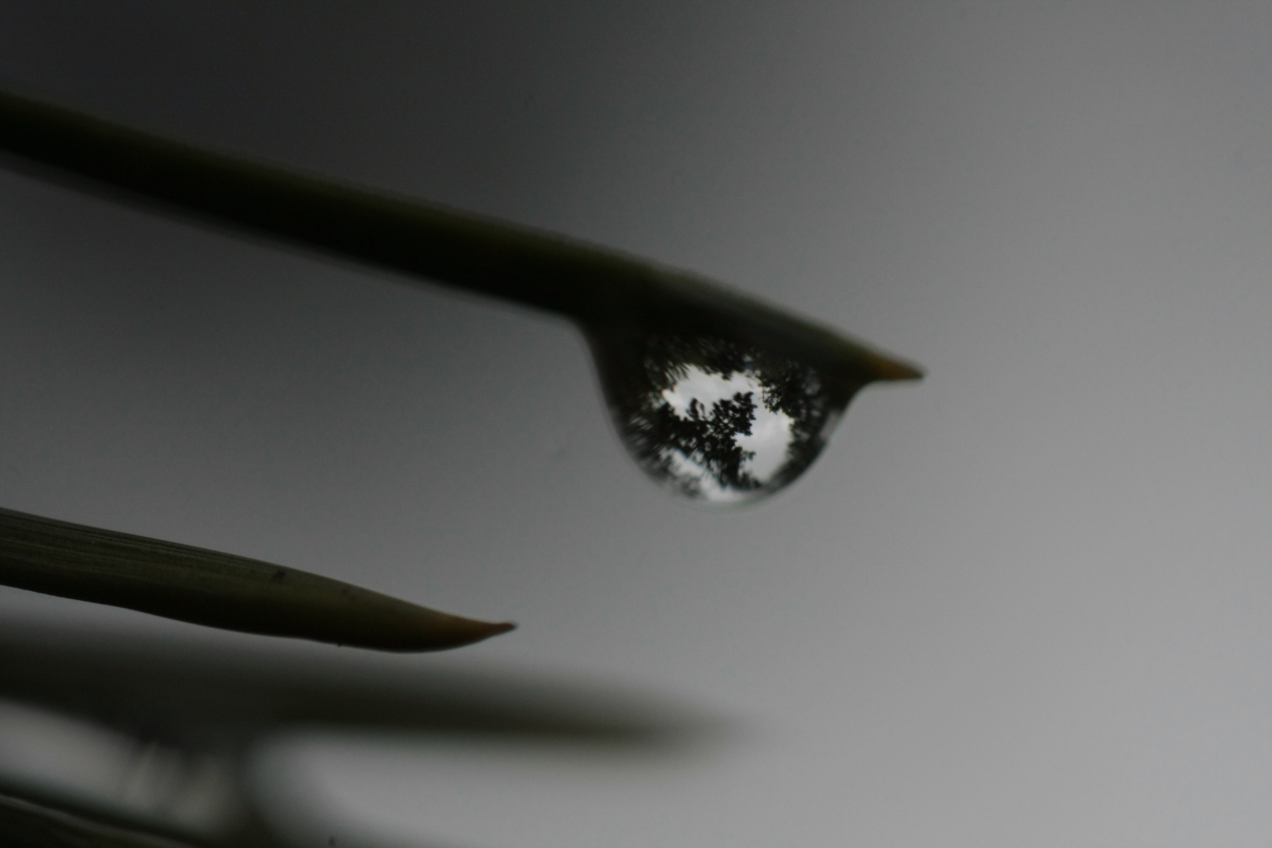 Фото Природы Забайкалья. Студия Максима Белослюдцева