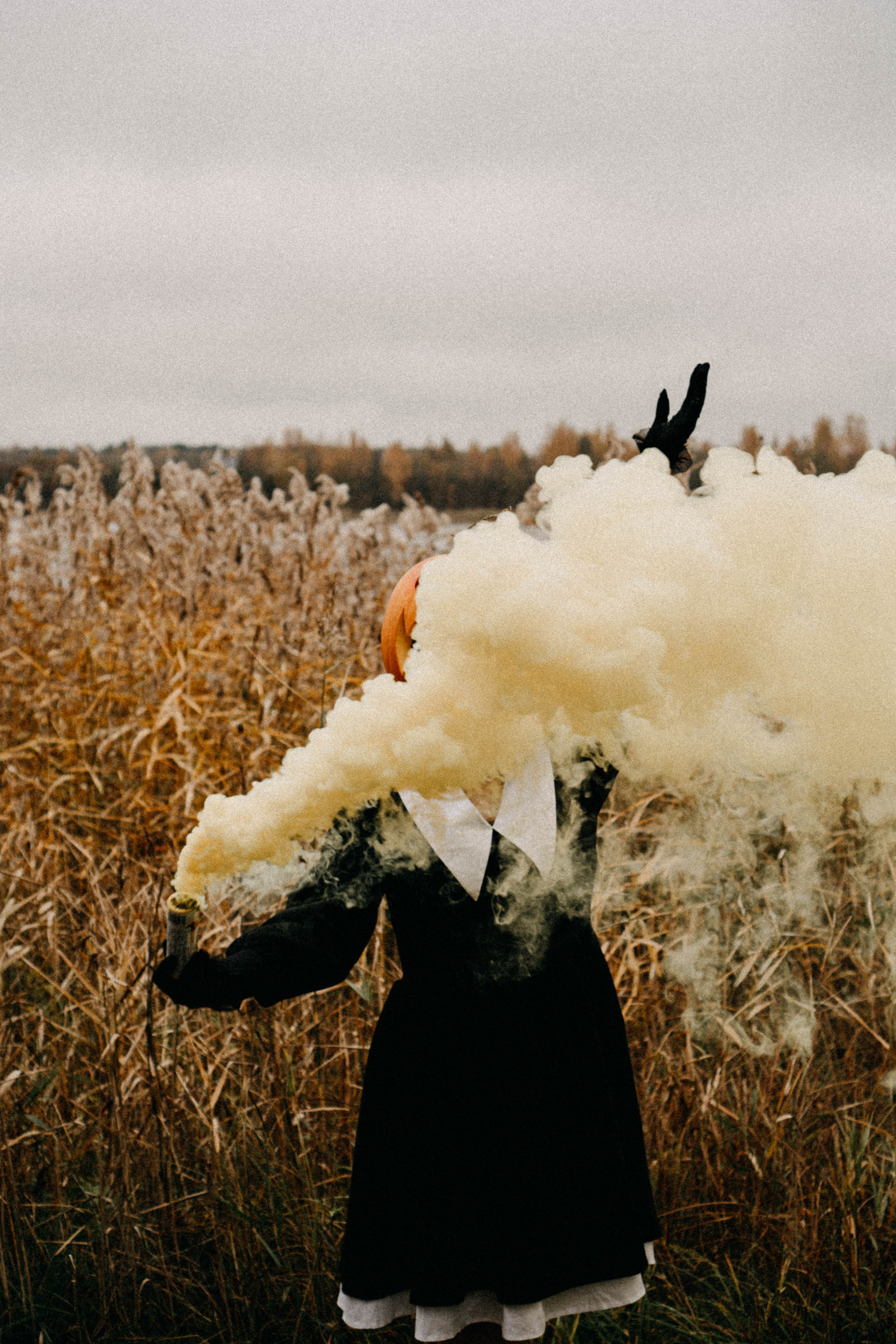 Осеняя. Профессиональный фотограф, Санкт-Петербург — Виктория Богомолова