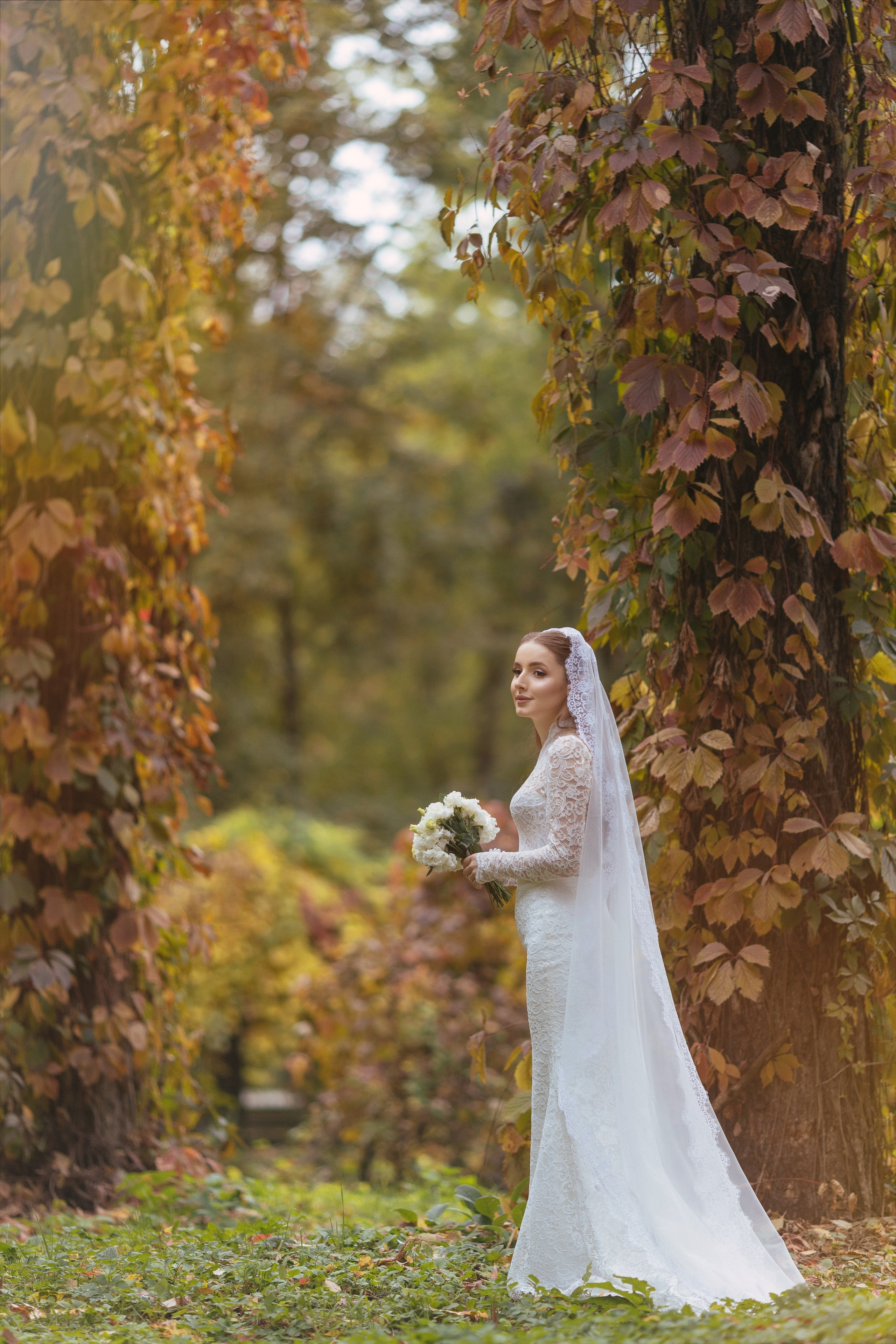 Aida. Главная