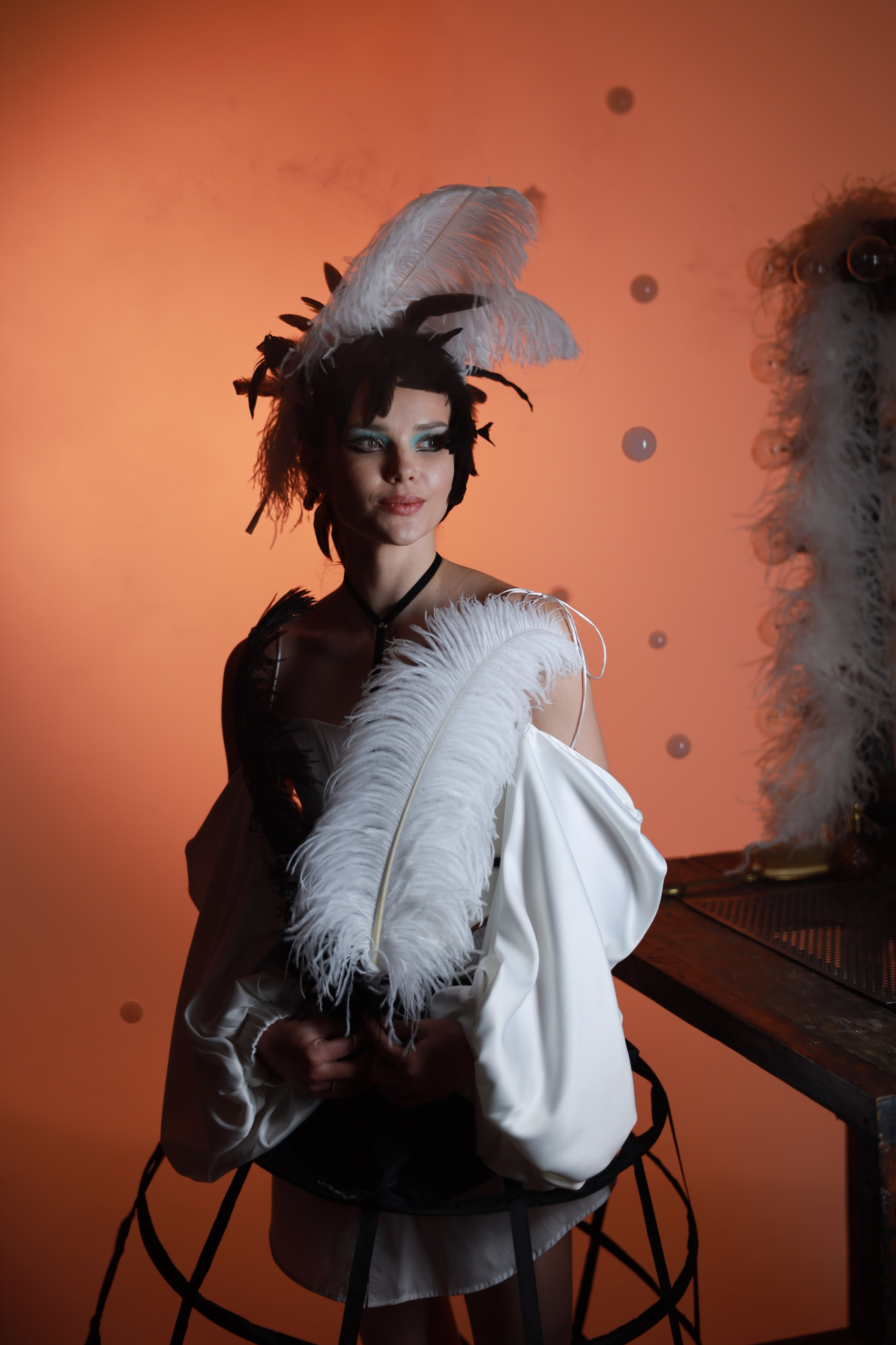 Перья. Съемка в студии под ваш запрос, студийные съемки, фотографии архитектурных объектов — Александр Евстигнеев — фотограф Москва