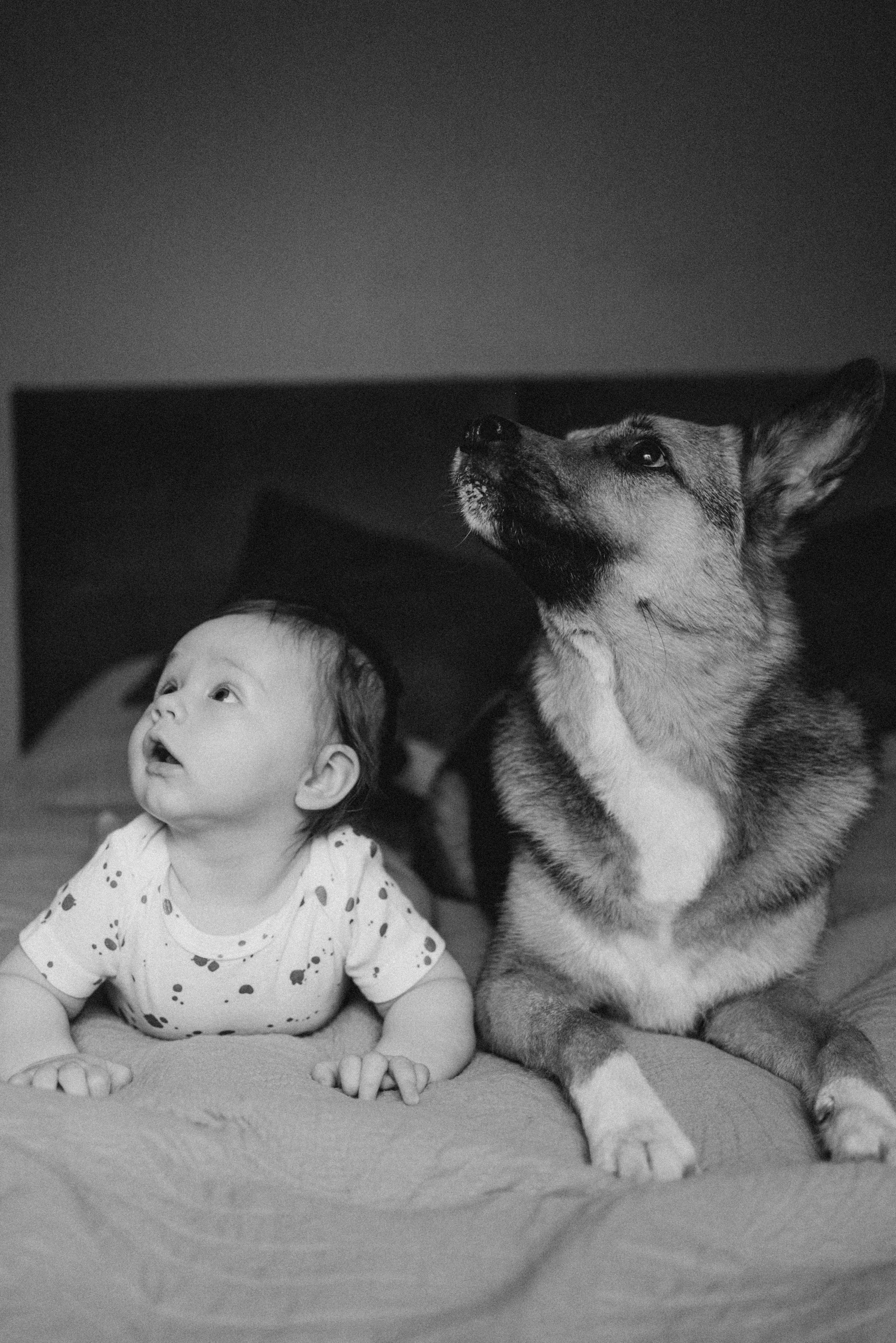 Даша, Клим, Мира и Марси. Семейный фотограф и анималист в Москве Анна Иванова