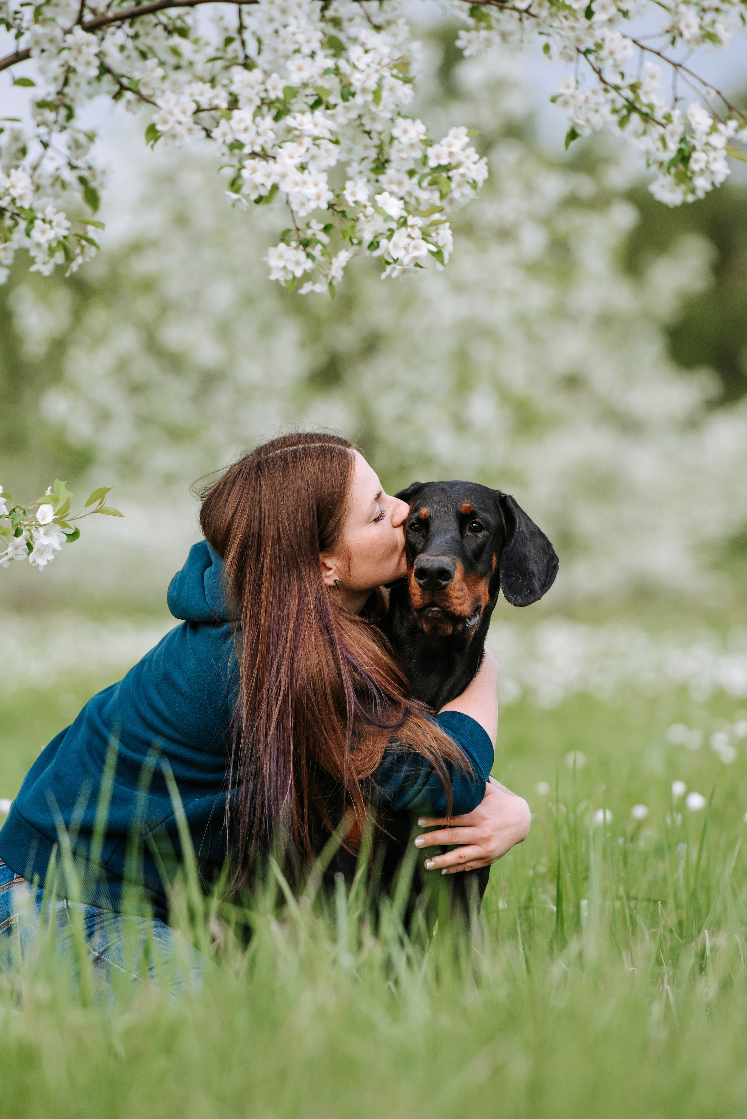 Цветение с доберманами. Фотограф Диана Оленина Красноярск / Братск