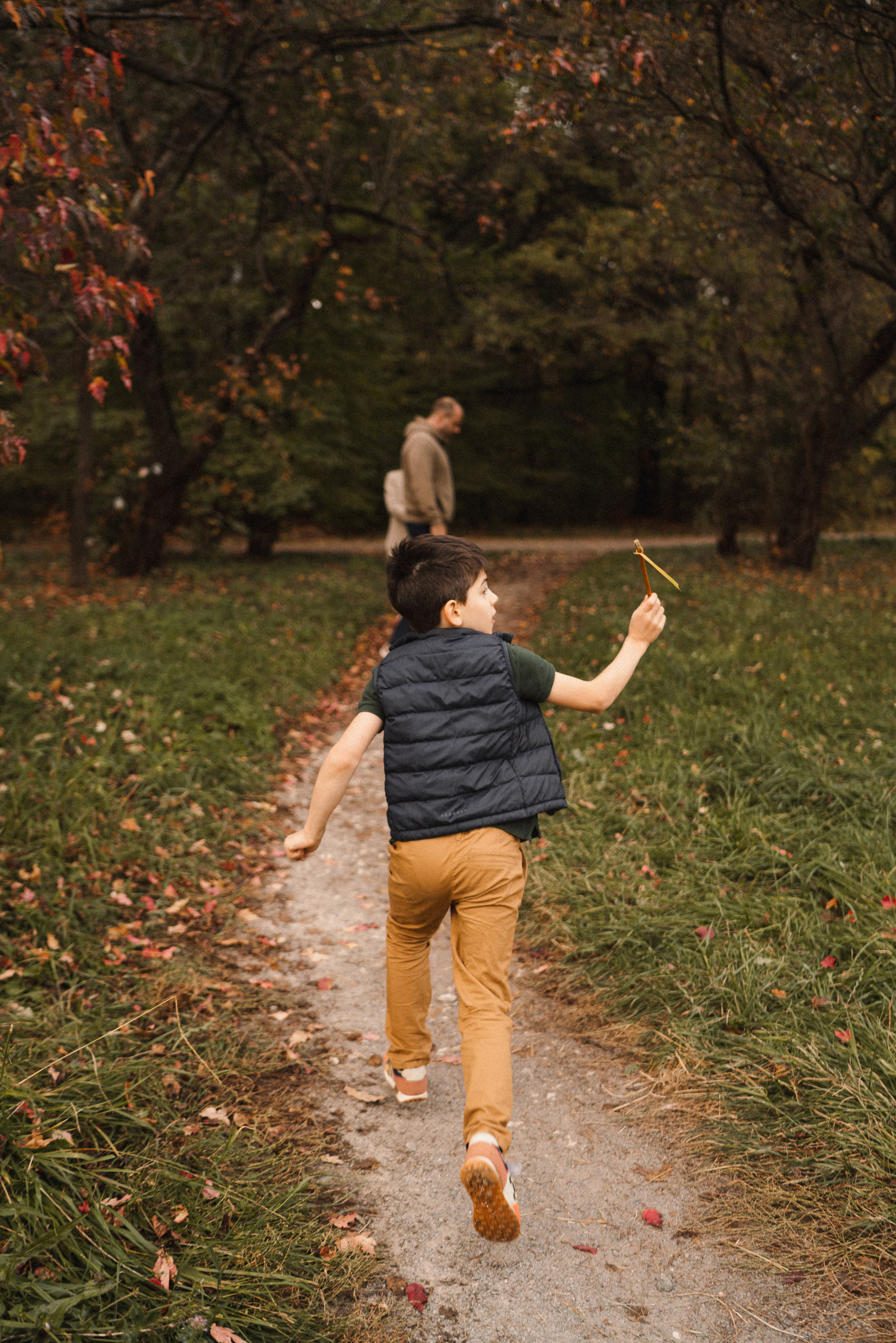 Дерево-брокколи. Фотограф Анна Кобазева, Москва