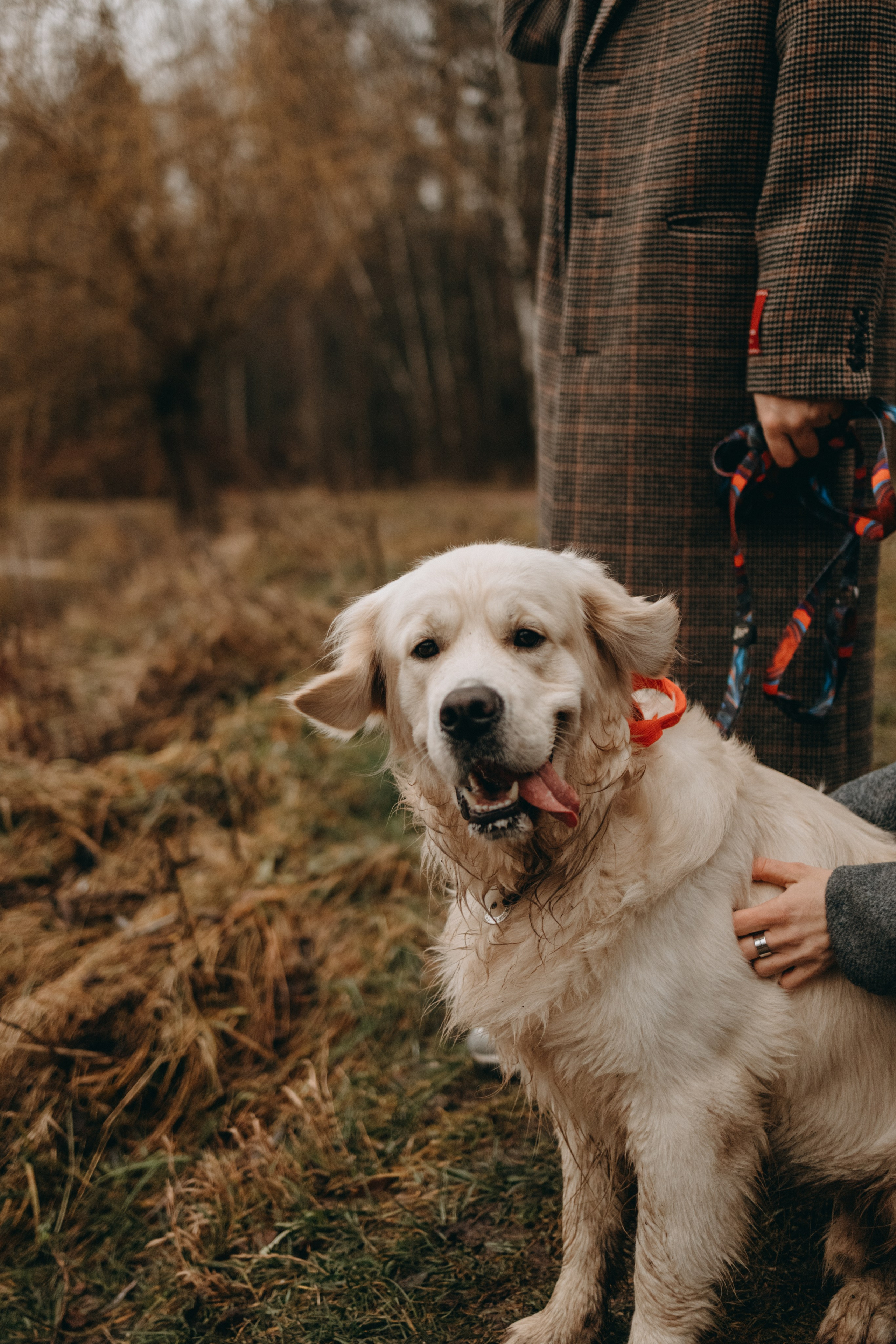 Лаки и его семья. Фотограф — Анималист | Санкт-Петербург