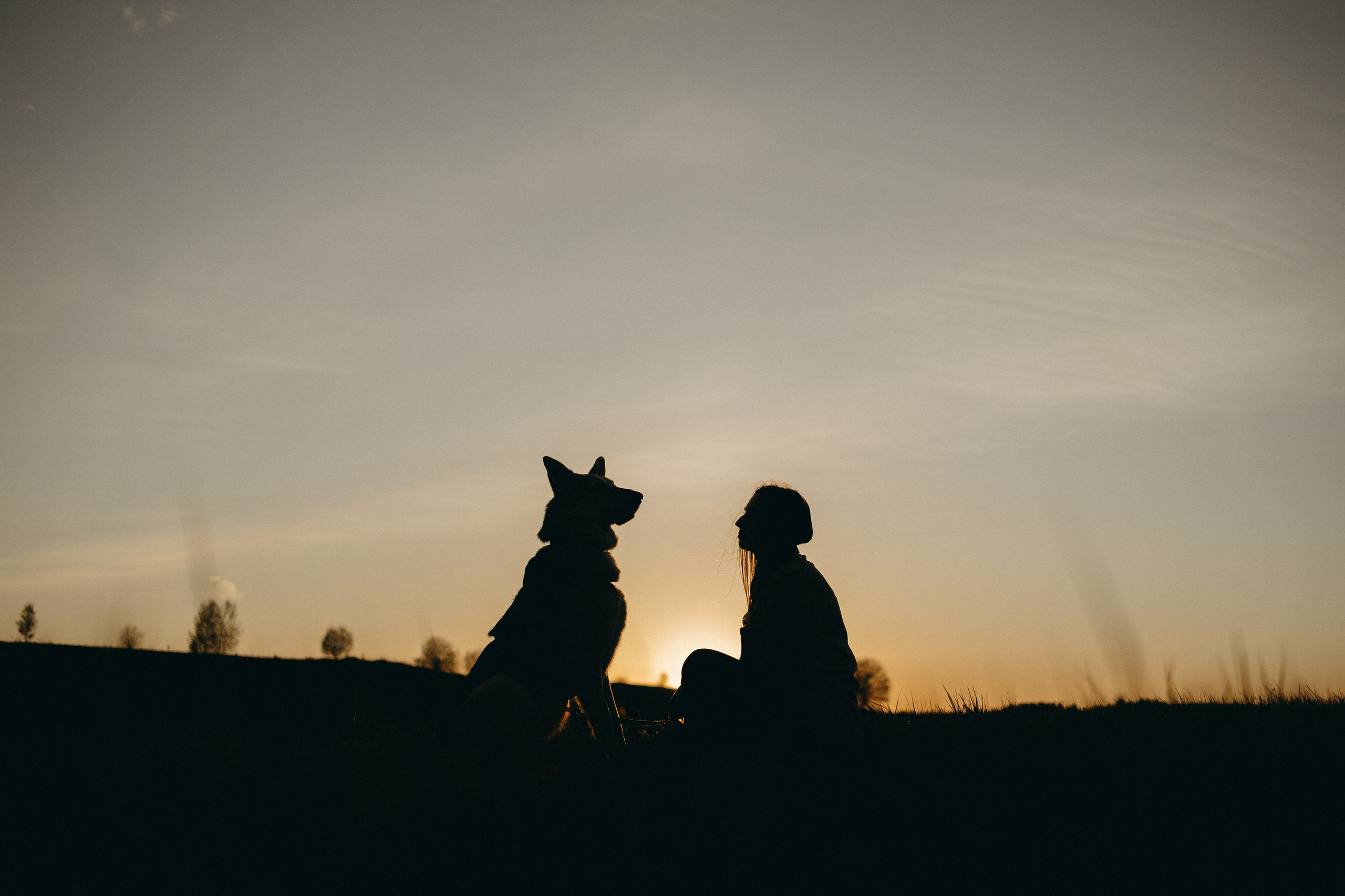 Саша и Зельда. Фотограф — Анималист | Санкт-Петербург