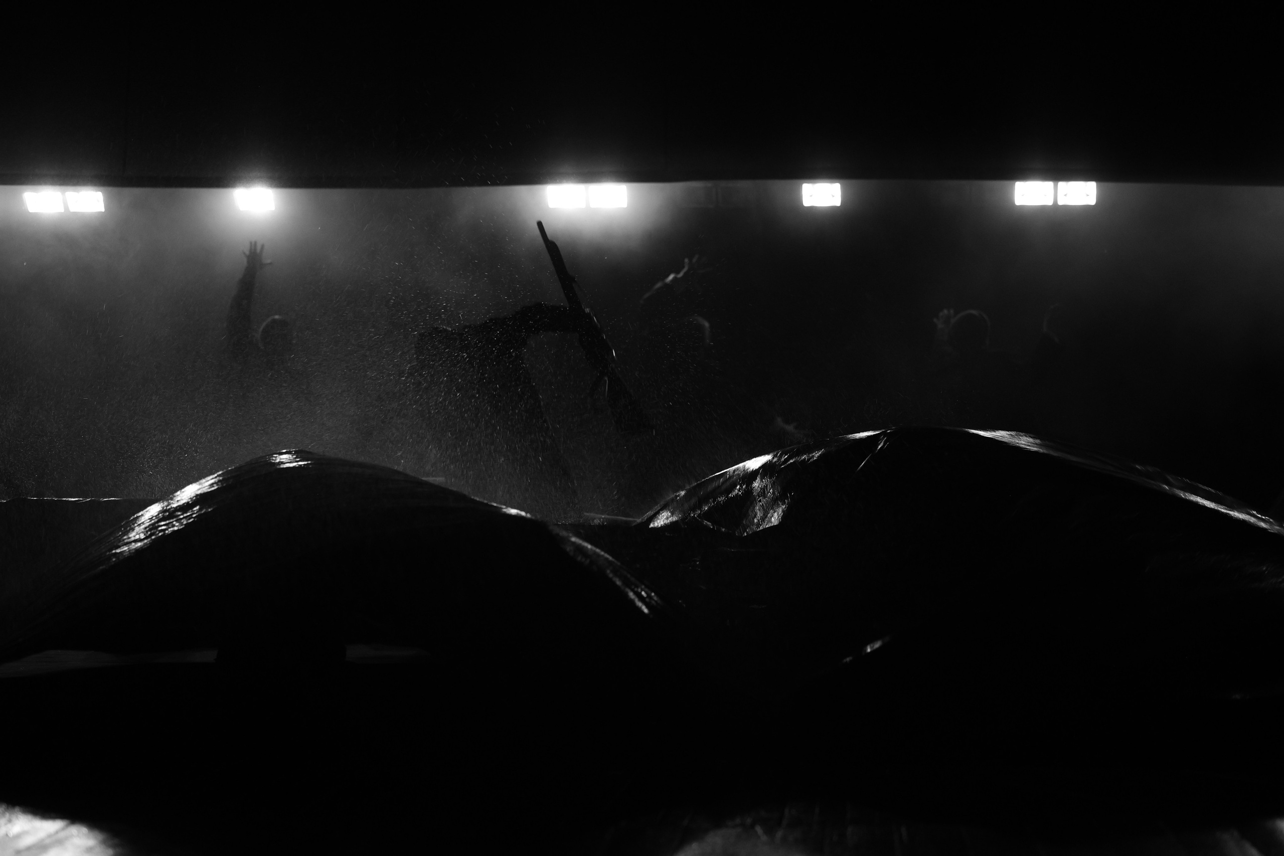 «Пегий пес, бегущий краем моря». Режиссёр Даниил Филиппович