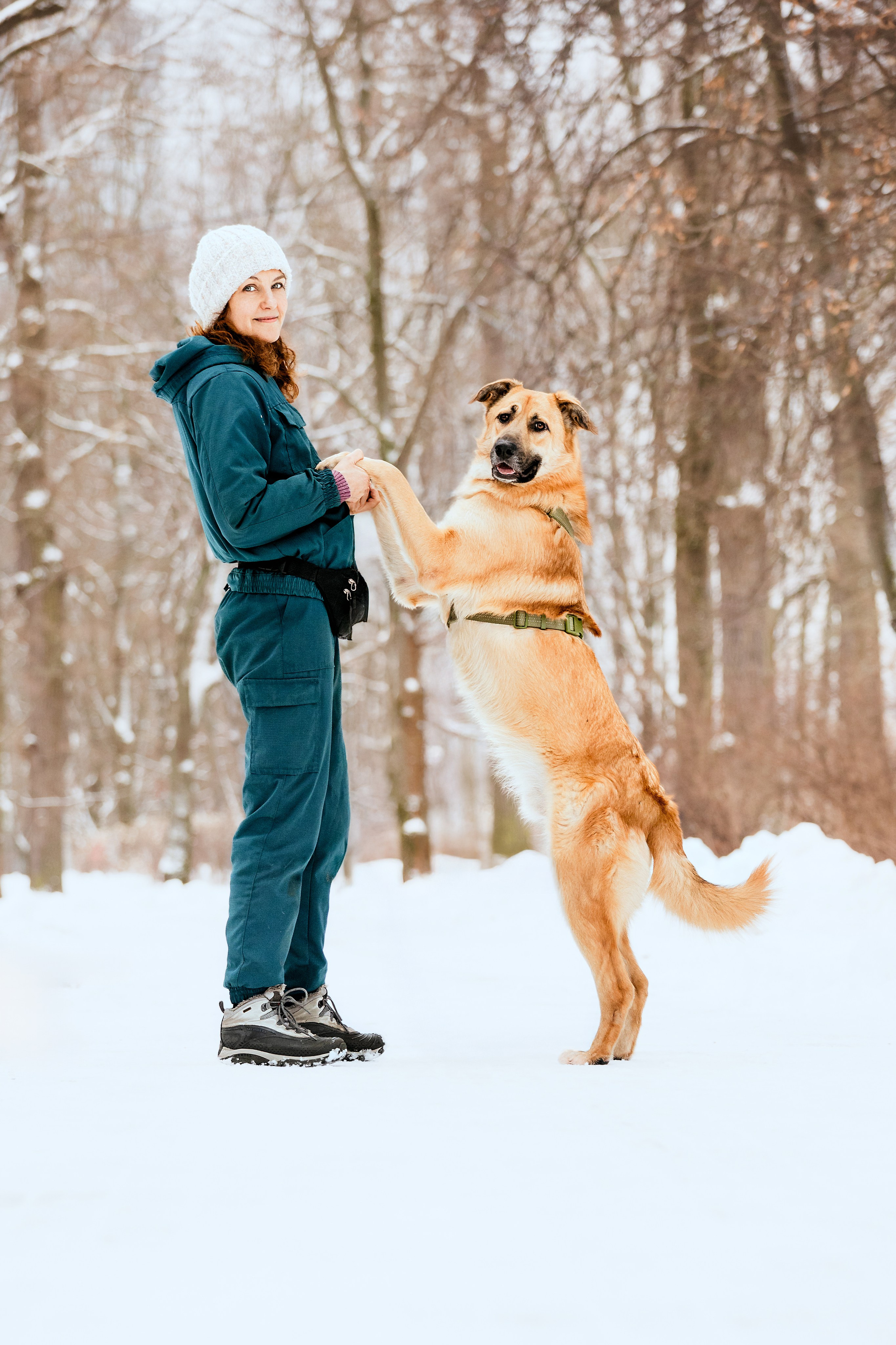 Собаки из приюта Дубовая роща зима. Фотограф-анималист Татьяна Степанова