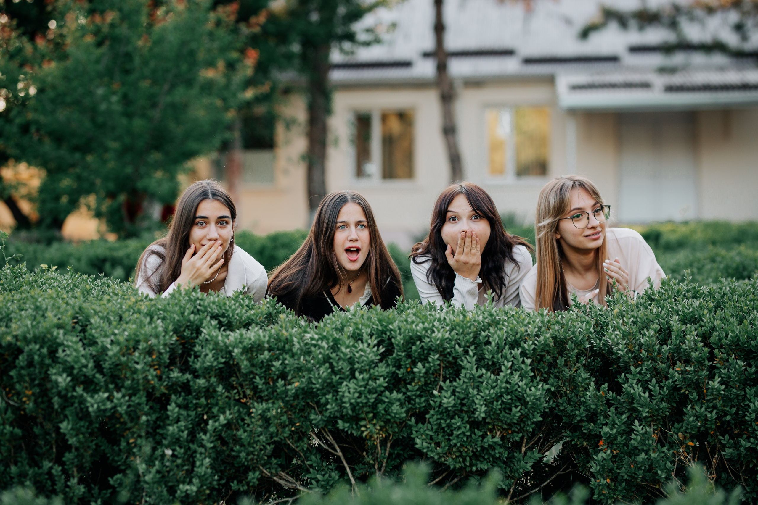Гимназия для одаренных детей (Танковое). Фотограф в Крыму