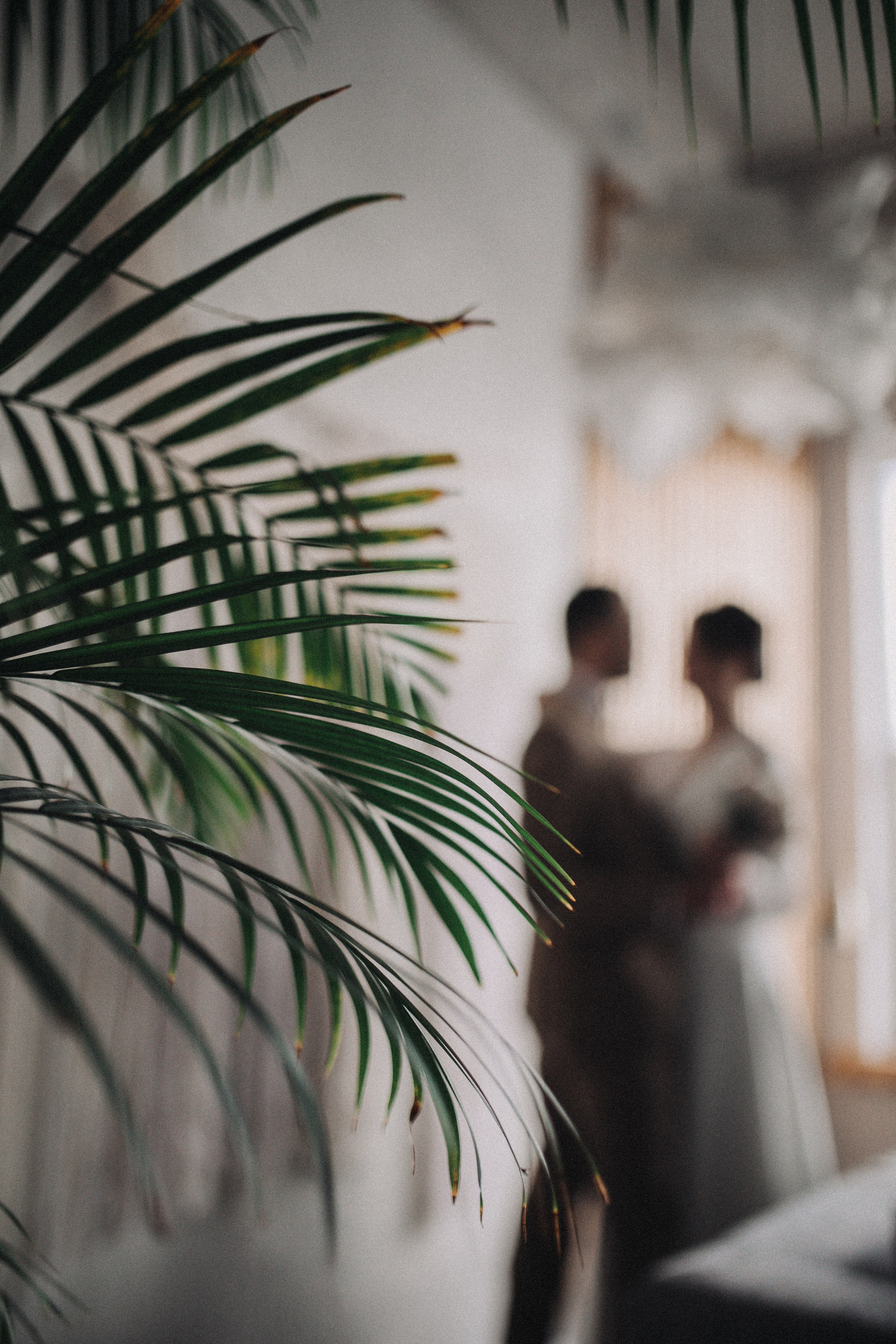 Тося & Женя. Фотограф София Комкина