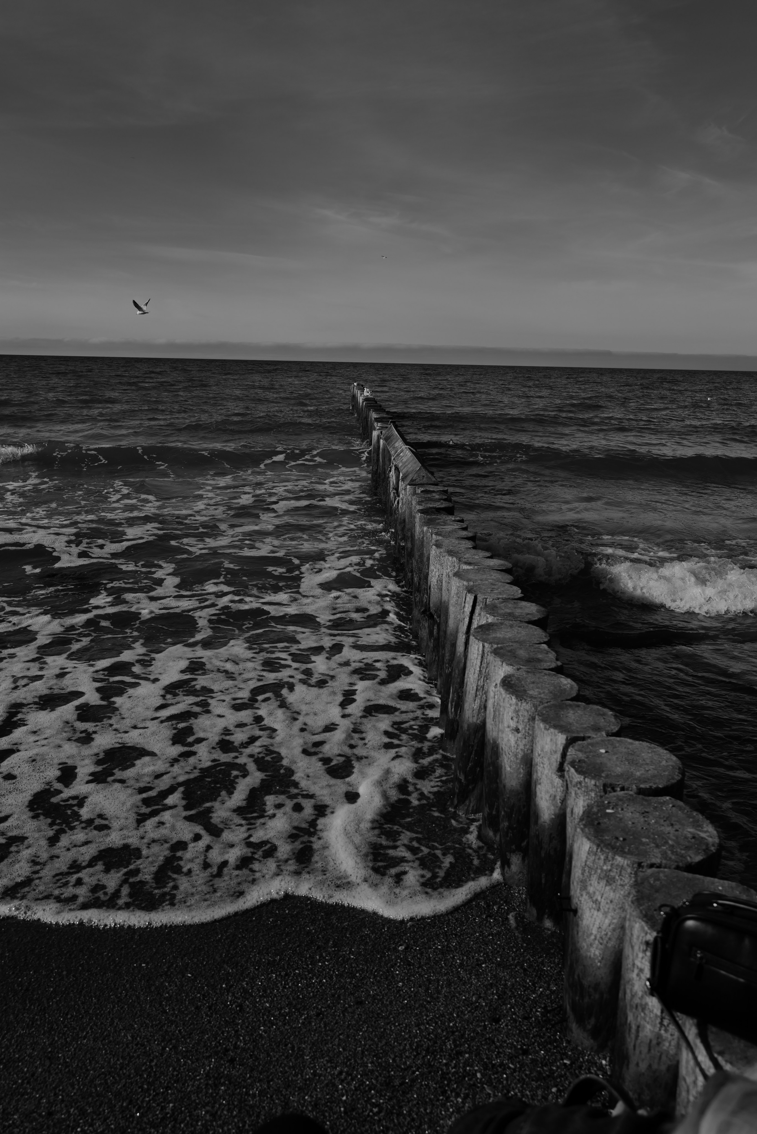 Zelenogradsk. Фотограф София Комкина