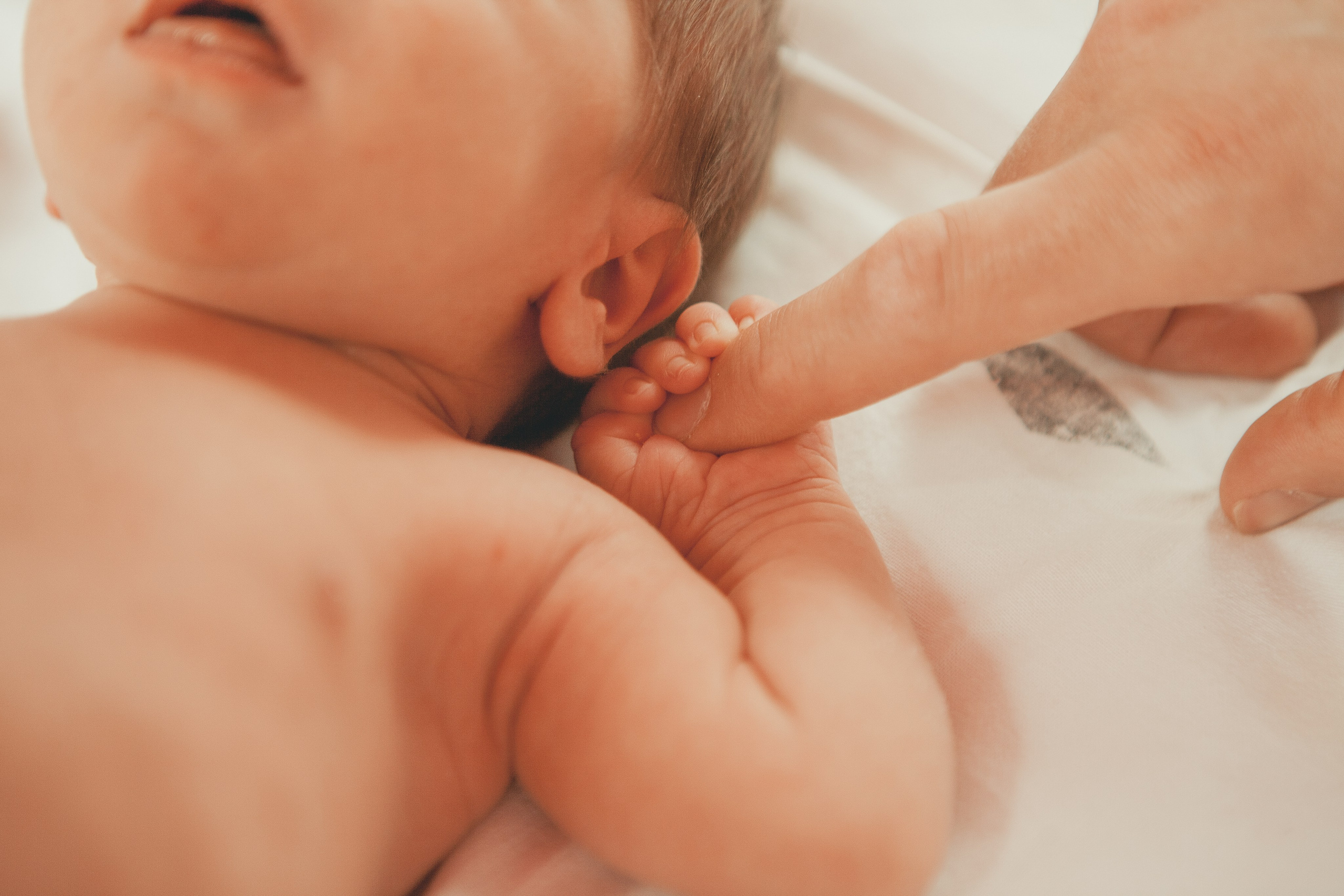 Гордей. Фотограф Ольга Ефремова