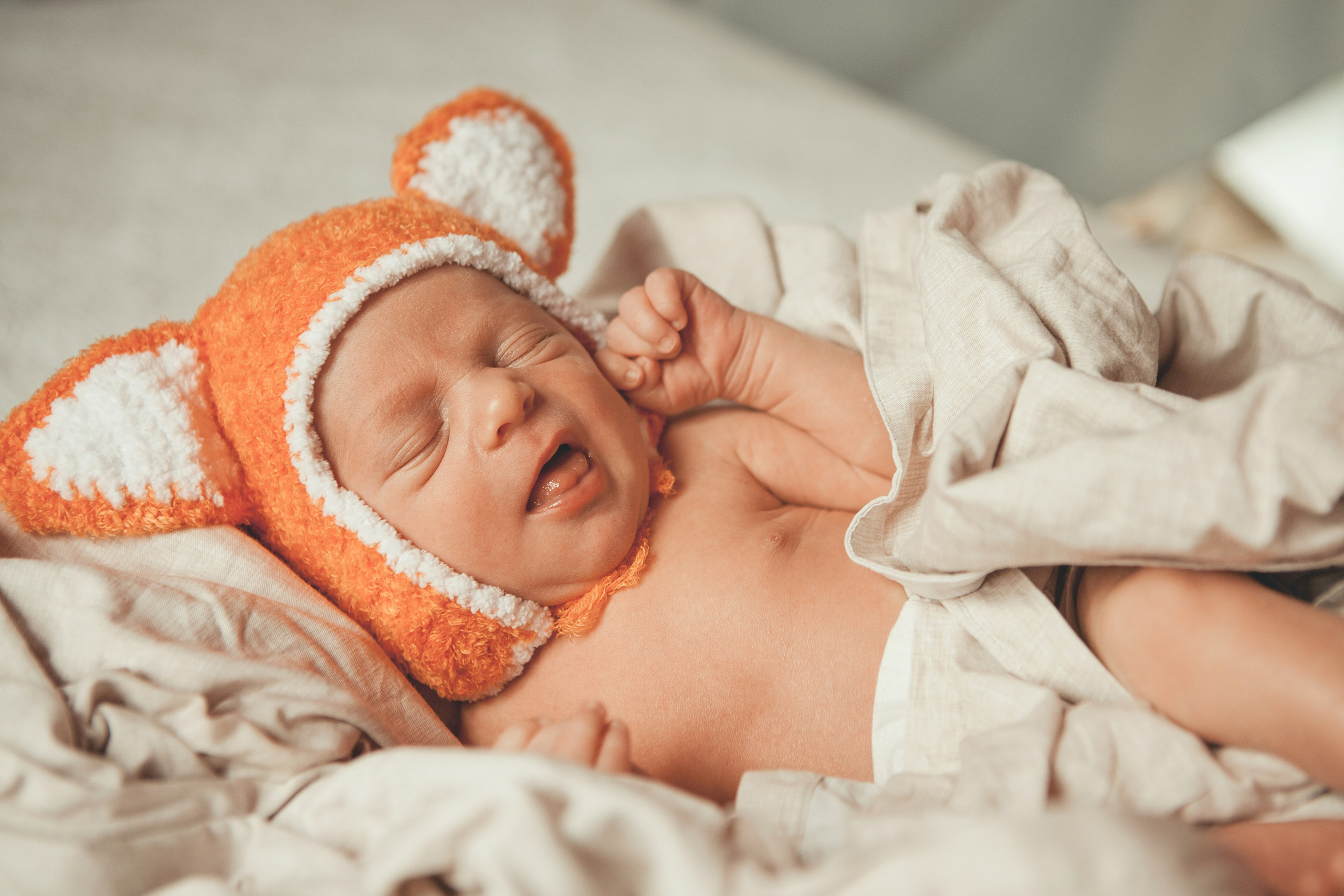 Гордей. Фотограф Ольга Ефремова