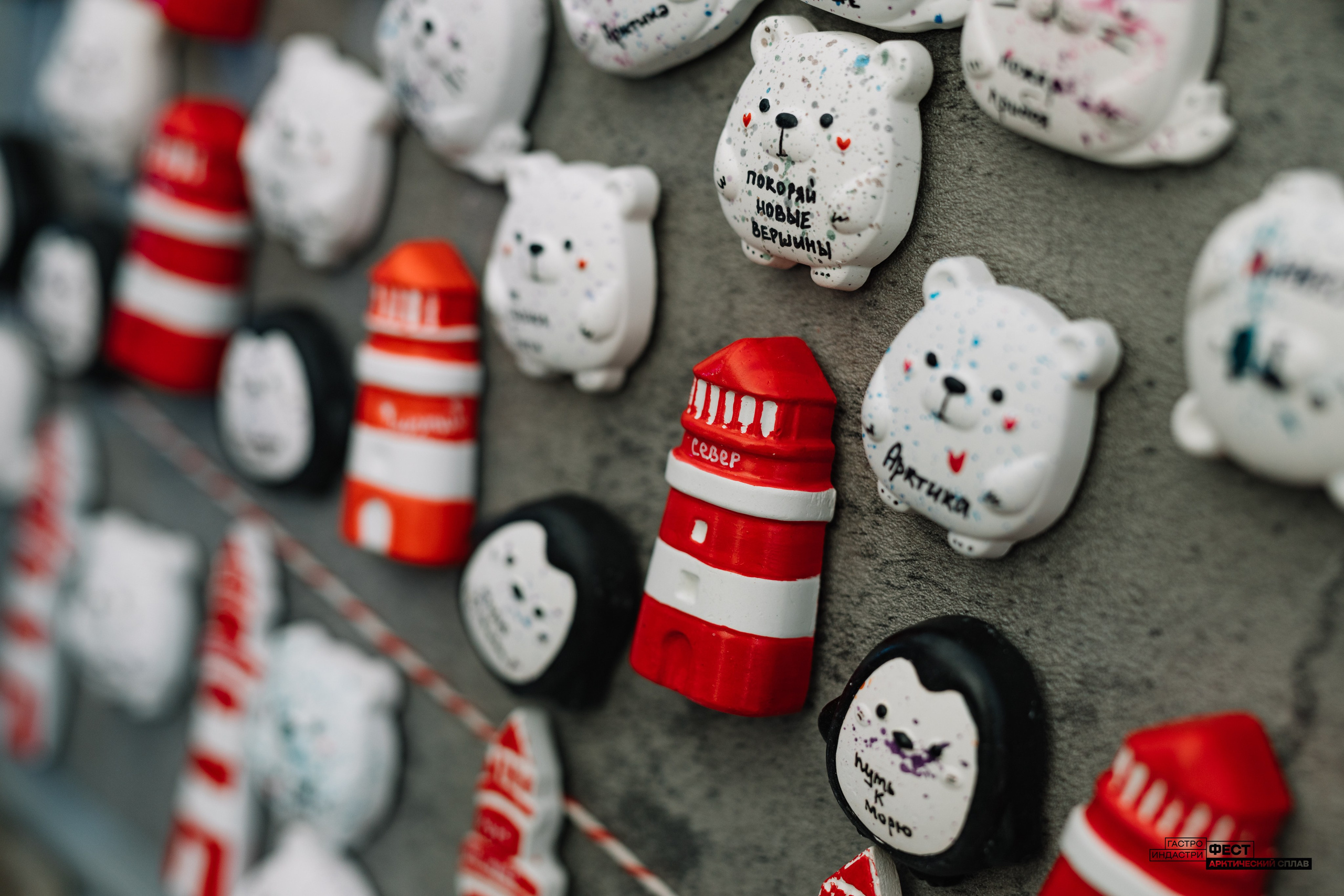 Gastro Industry Fest 2025. Репортажный фотограф в Мурманской области